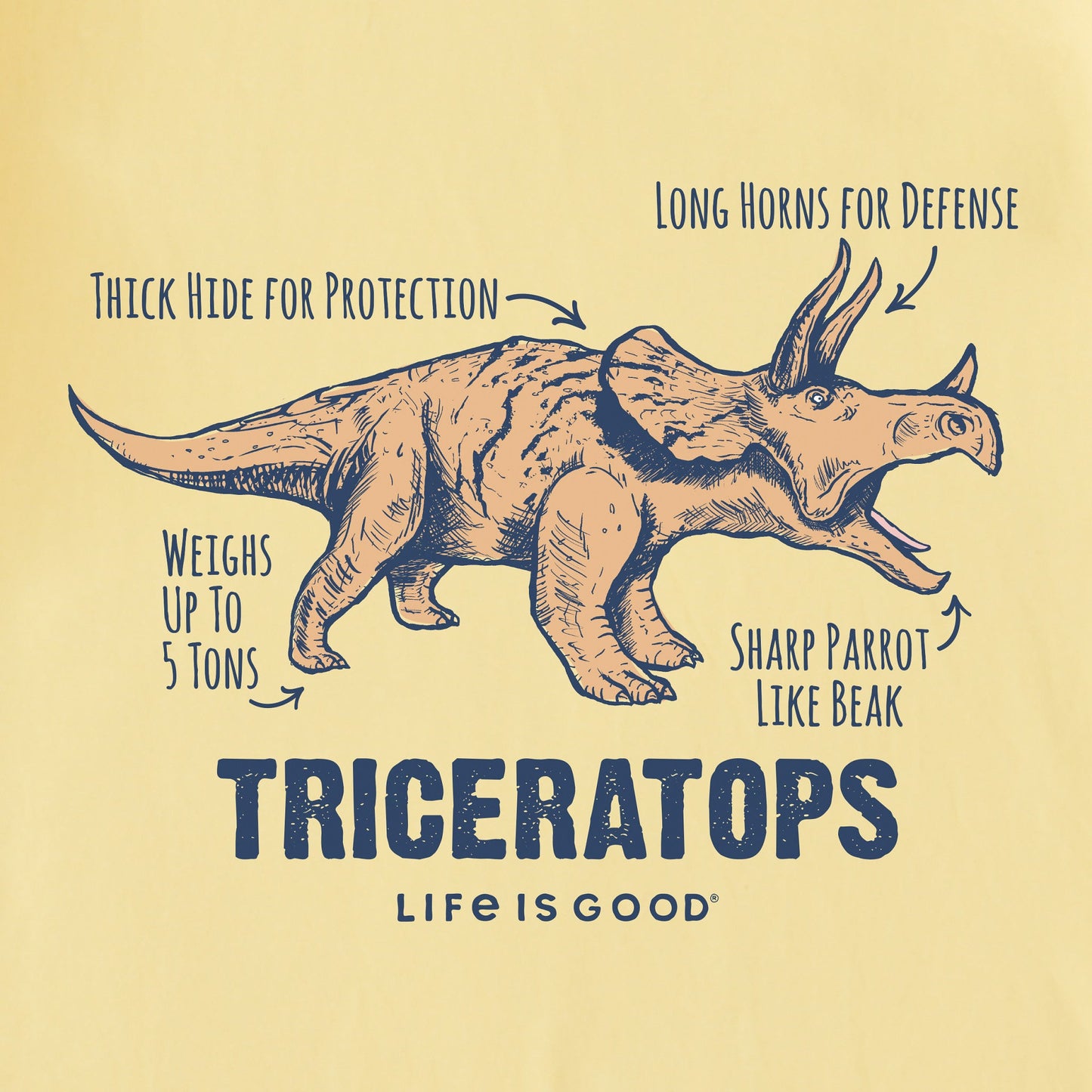 Kids Triceratops Short Sleeve Crusher Tee