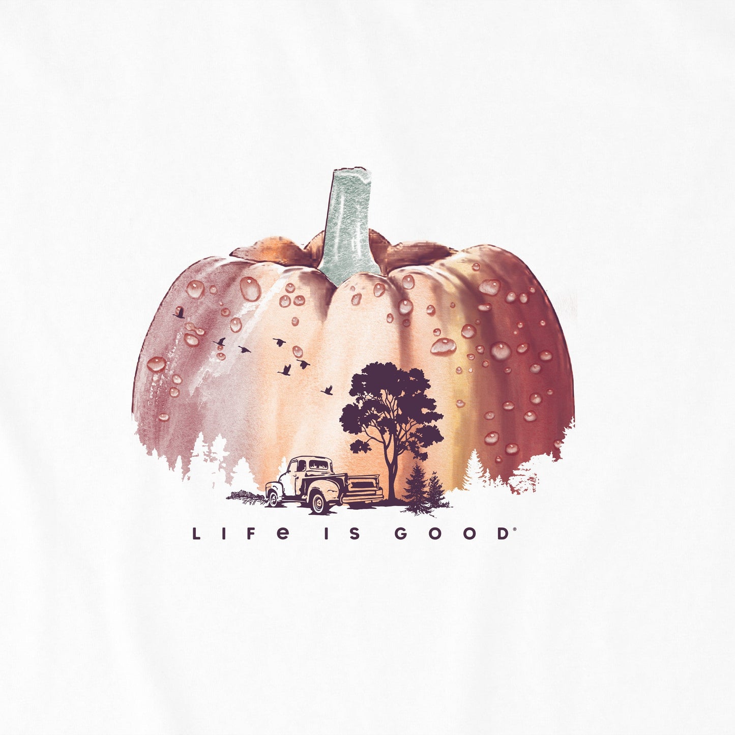 Women's Watercolor Pumpkin Long Sleeve Crusher Tee