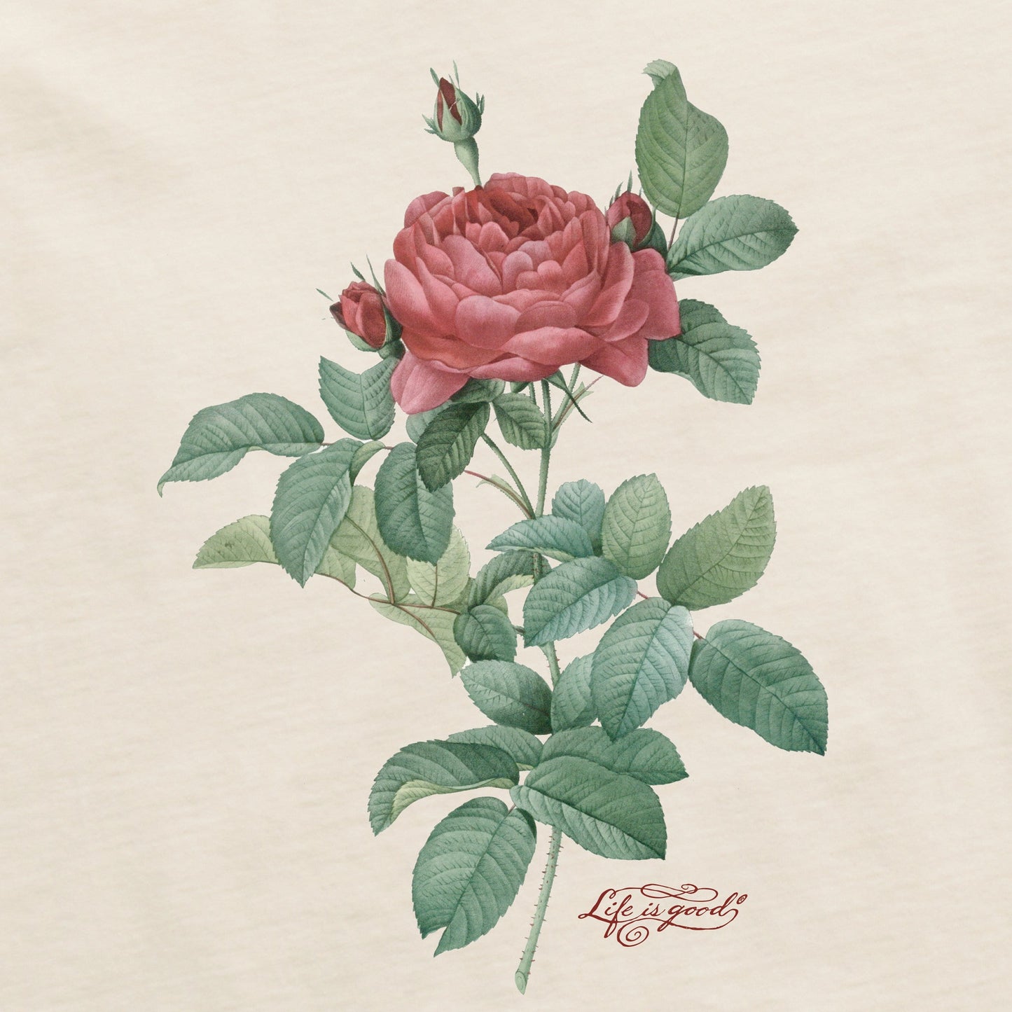 Women's Antique Rose Painting Short Sleeve Crusher Tee