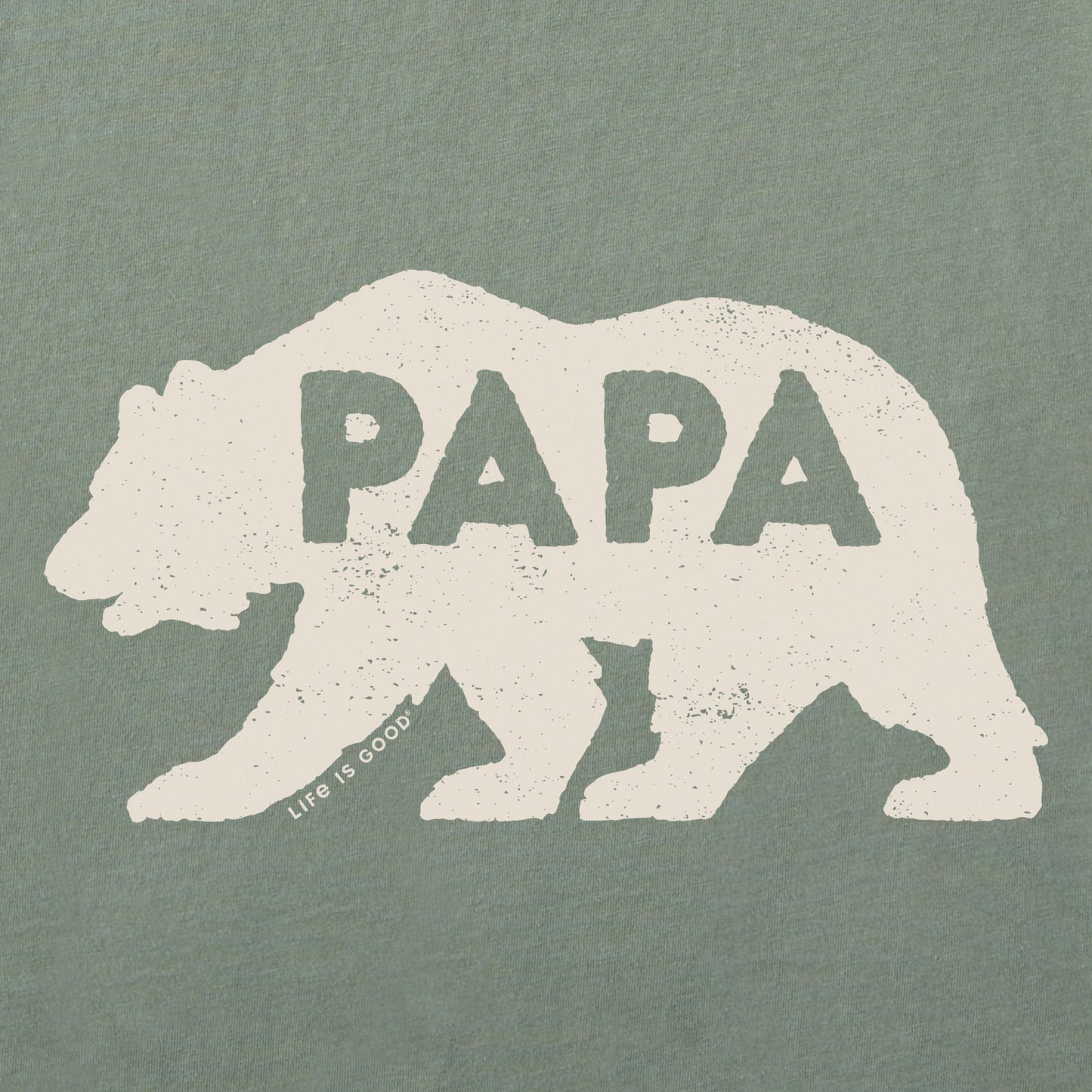 Men's Papa Bear Solid Short Sleeve Tee