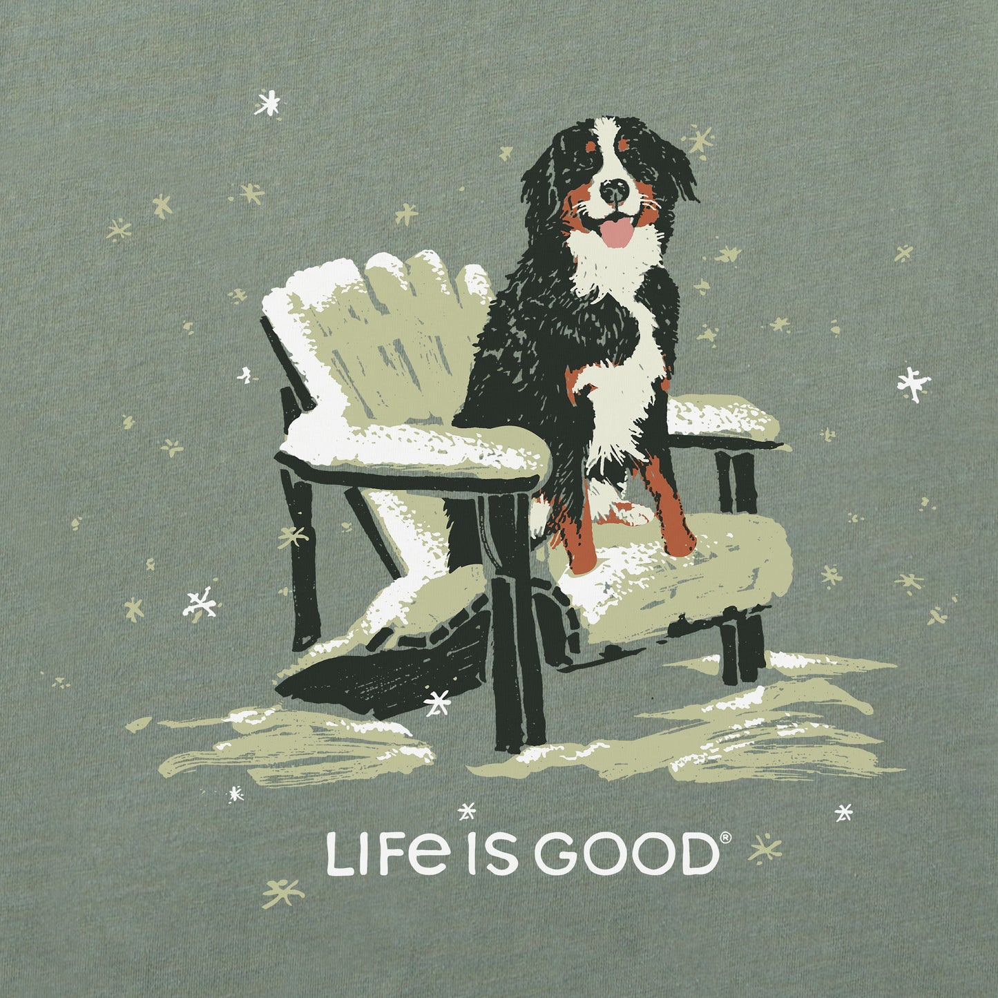 Men's Snowy Adirondack Bernese Short Sleeve Crusher Tee