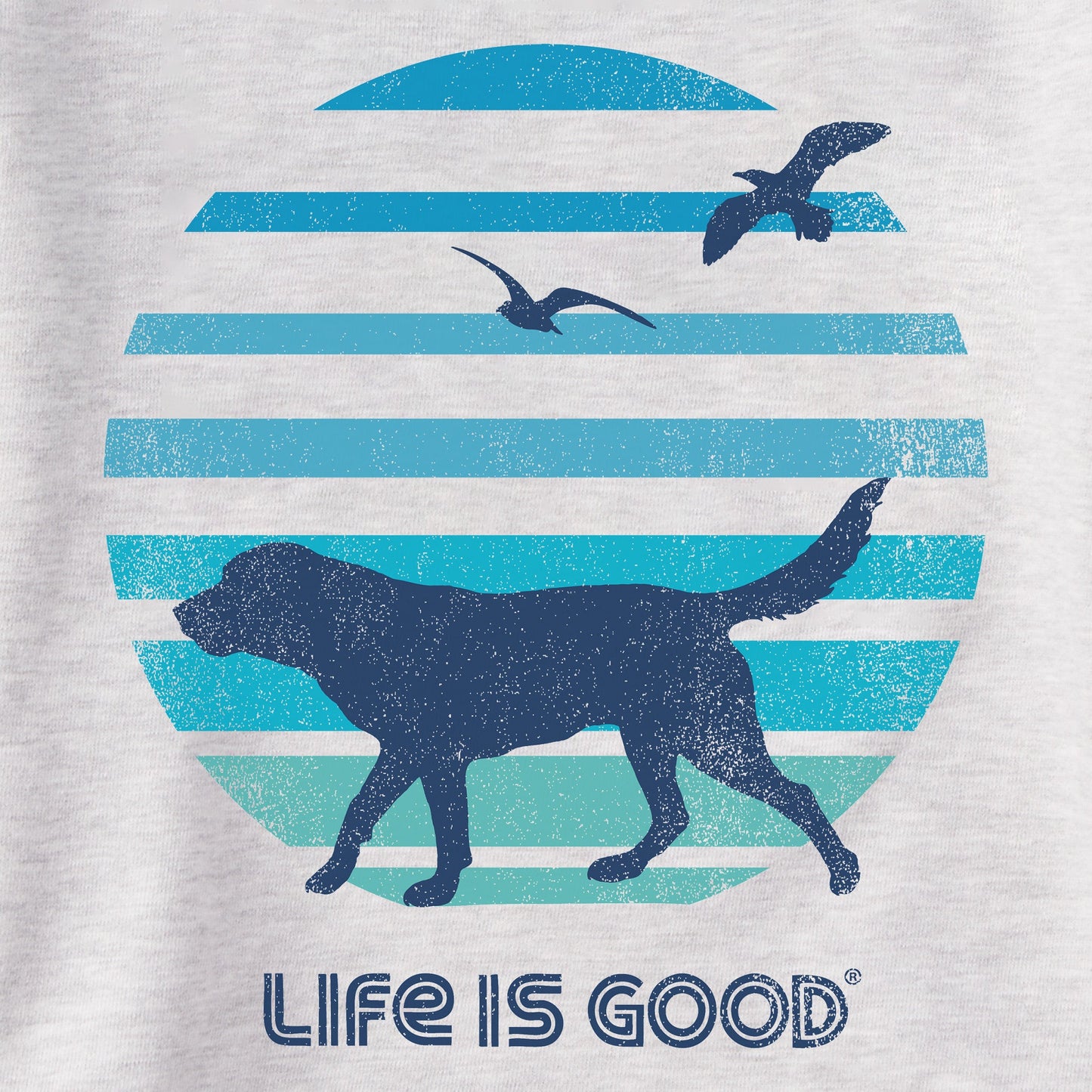 Men's 70's Retro Dog Beach Walk Simply True Fleece Crew