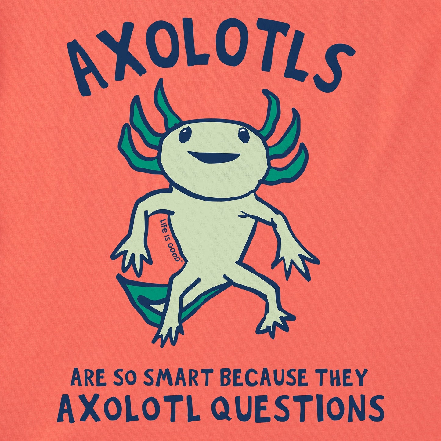 Kids Axolotls Questions Long Sleeve Crusher Tee