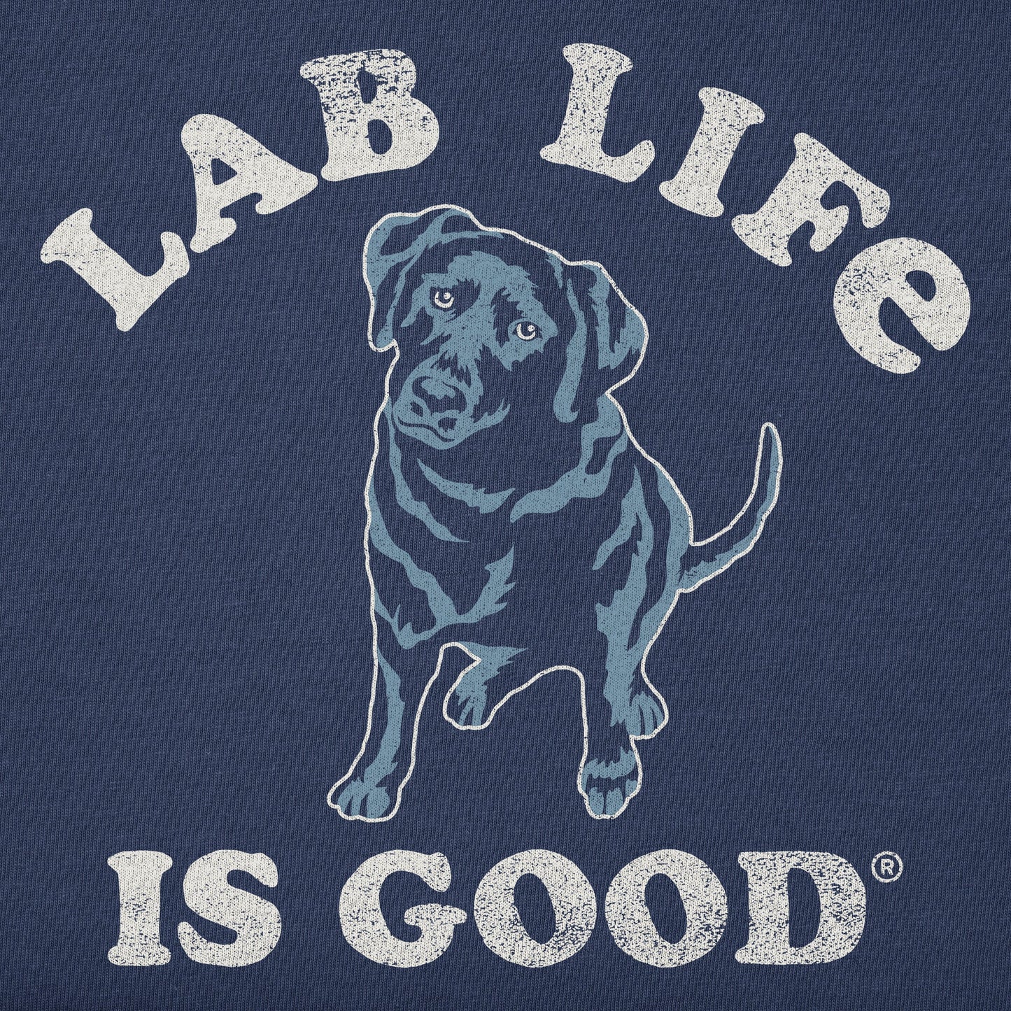 Men's Lab is Good Short Sleeve Crusher Tee