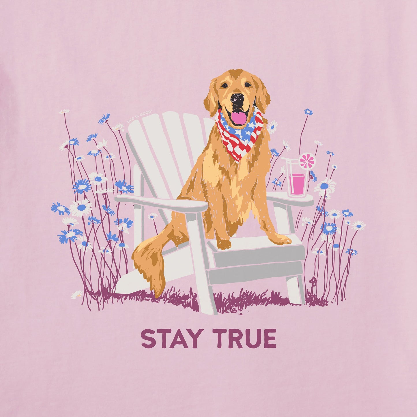 Women's Stay True Lab Adirondack Short Sleeve Crusher Vee