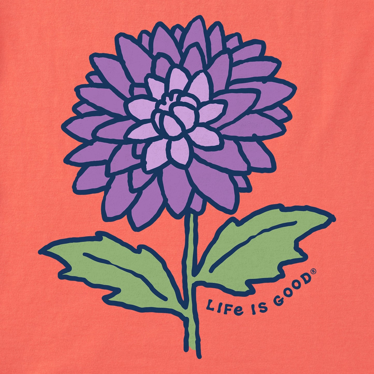 Women's Dahlia Short Sleeve Vee