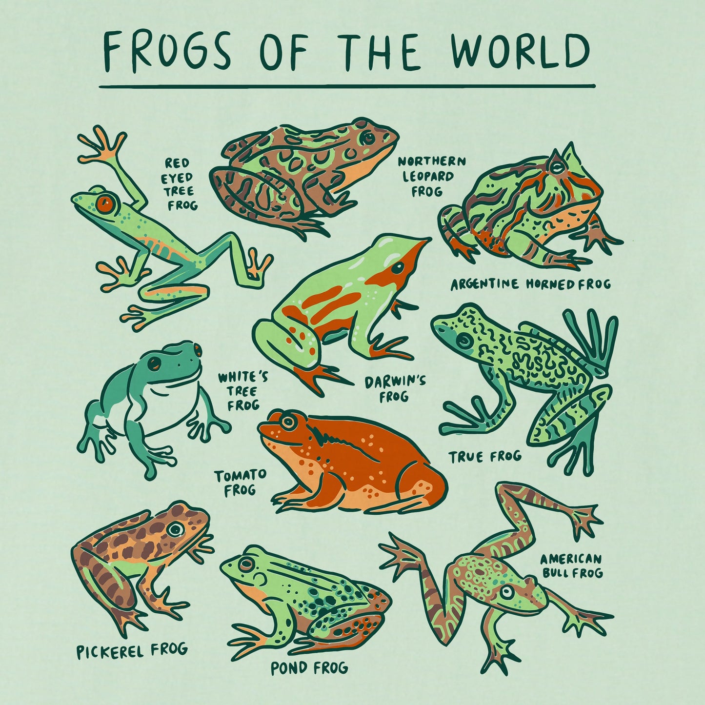 Kids Frogs of the World Short Sleeve Crusher Tee