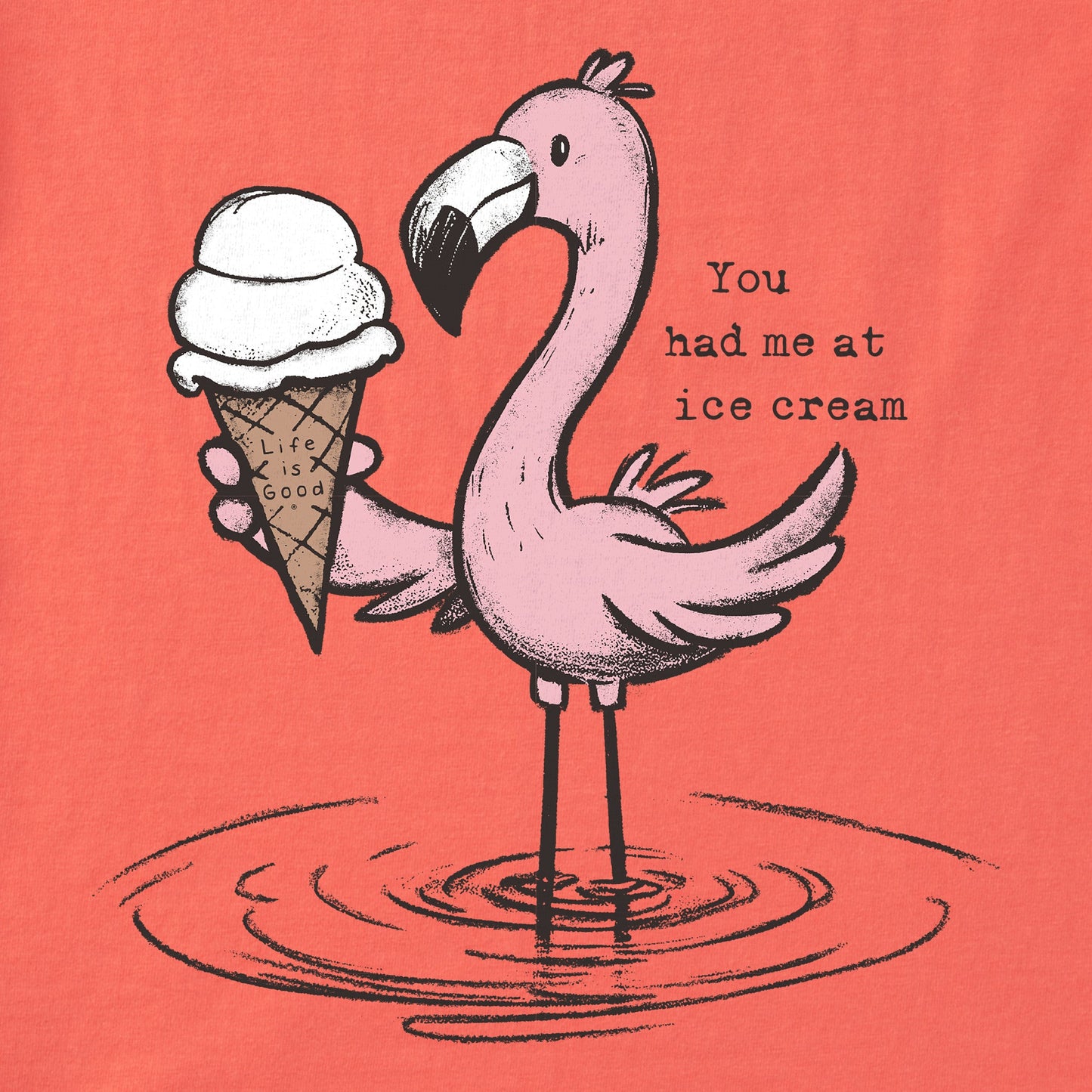 Kids You Had Me at Ice Cream Flamingo Short Sleeve Crusher Tee