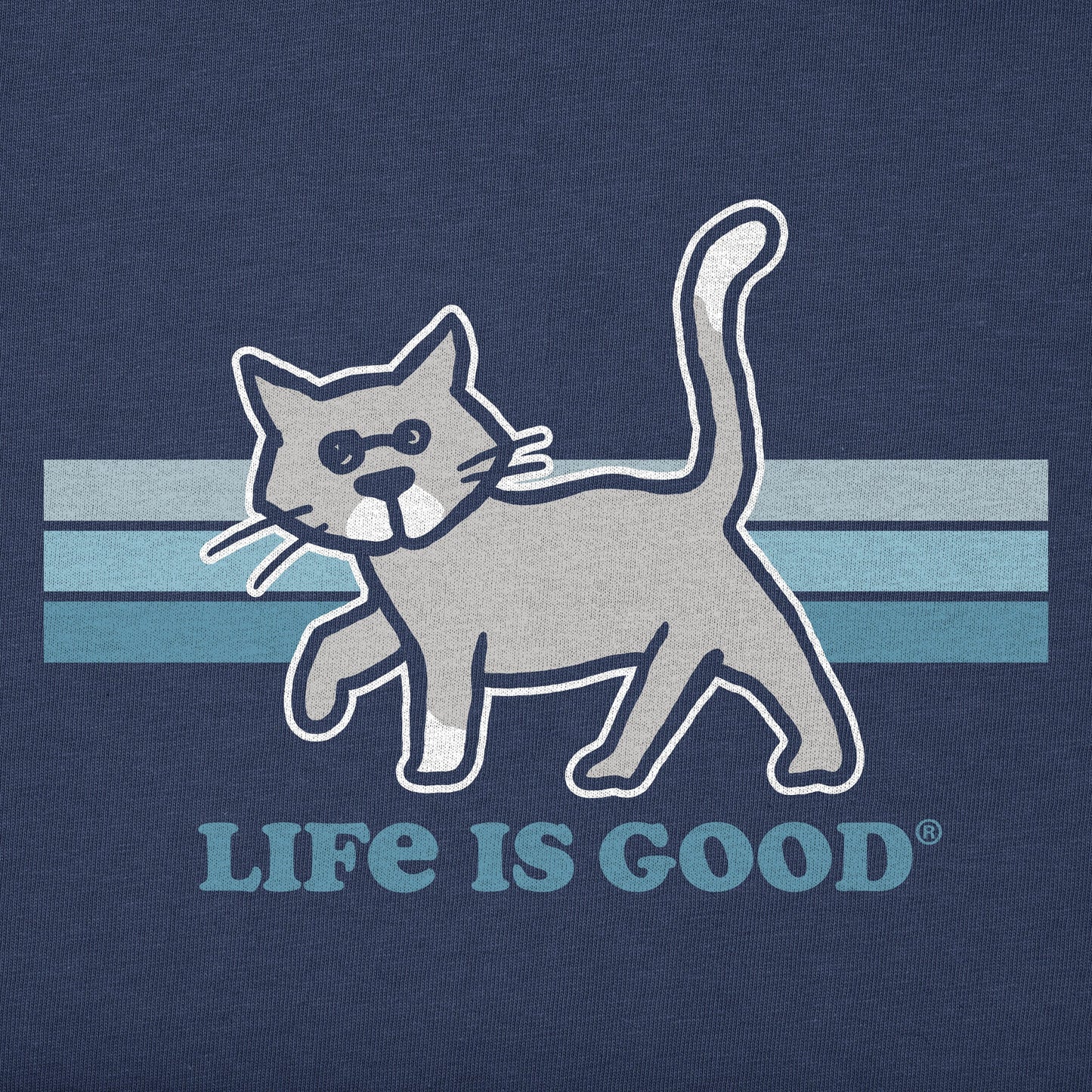 Men's Stripe Al Short Sleeve Crusher Tee