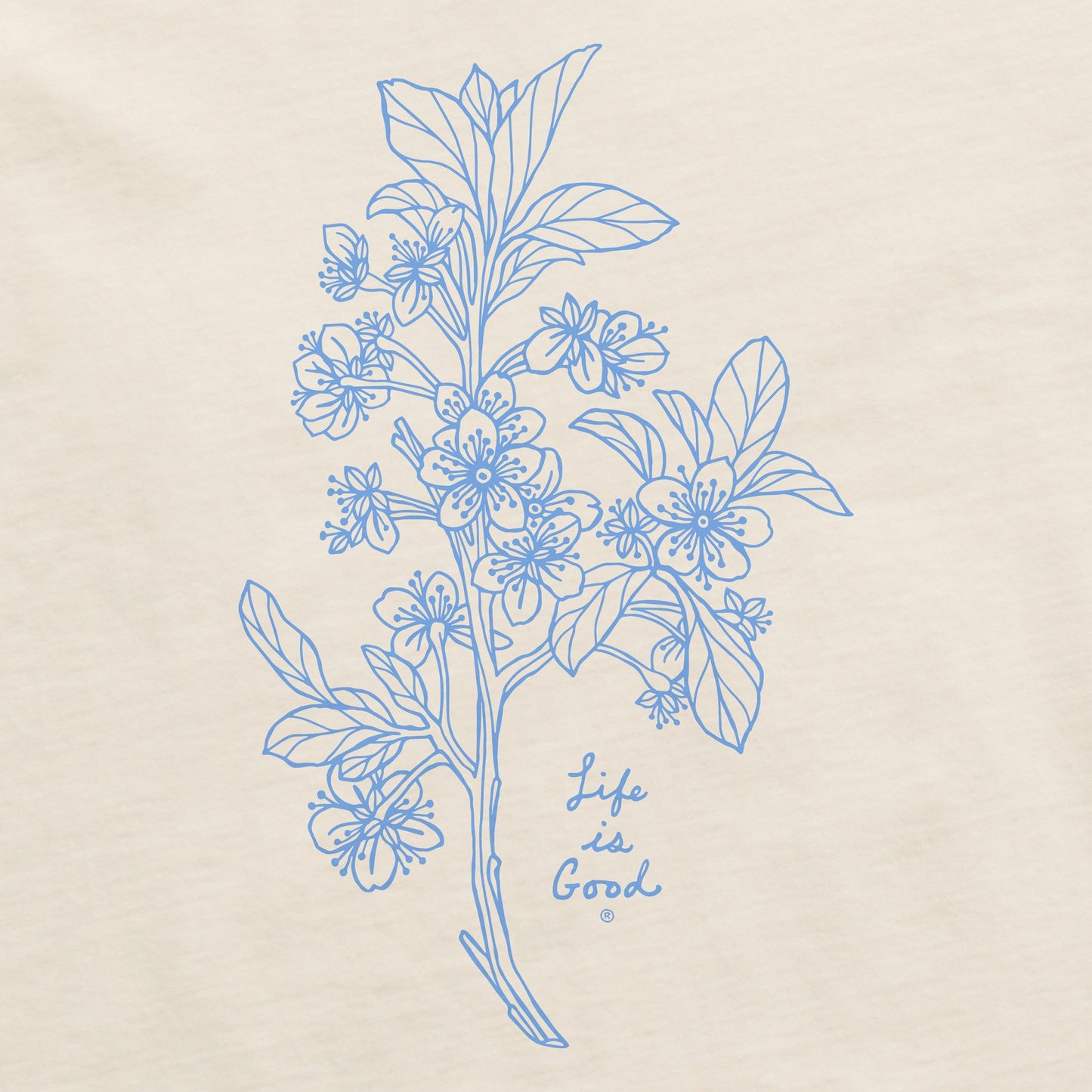 Women's Antique Plum Blossom Short Sleeve Crusher Boxy Tee