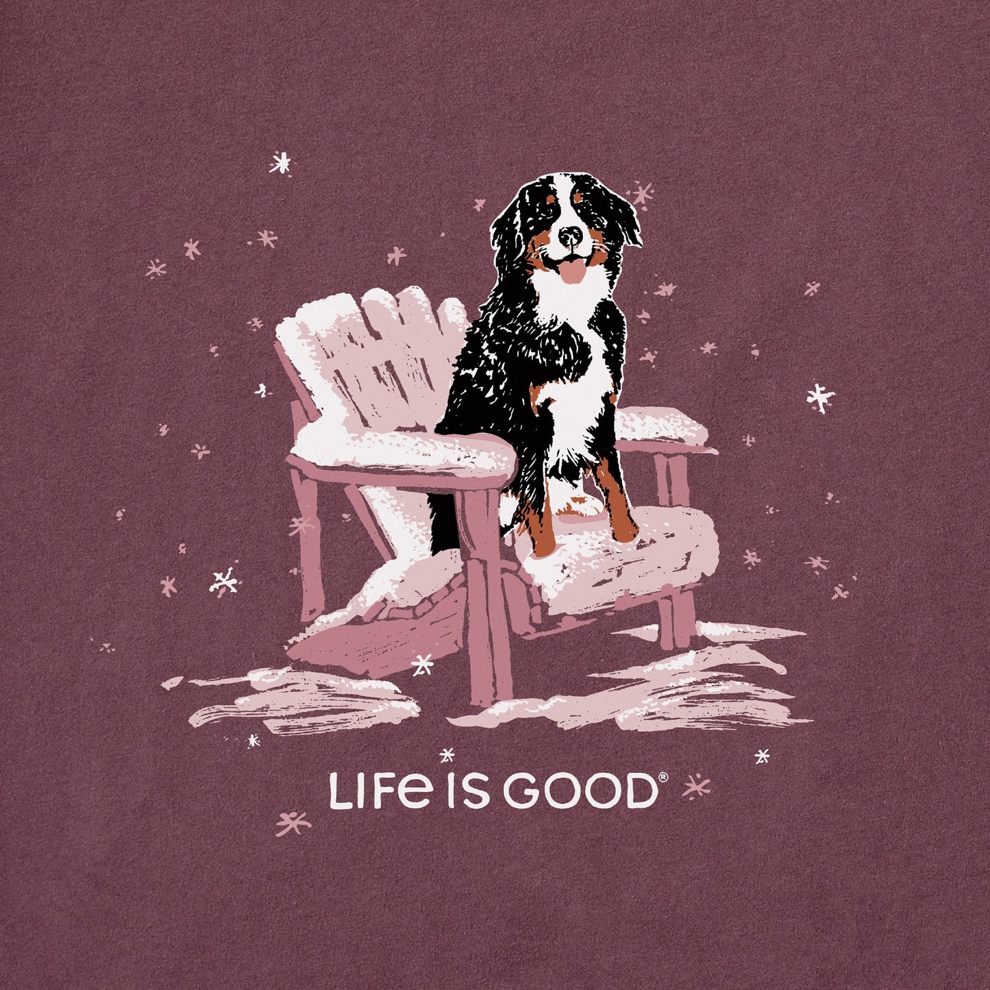 Women's Snowy Adirondack Bernese Long Sleeve Crusher Tee