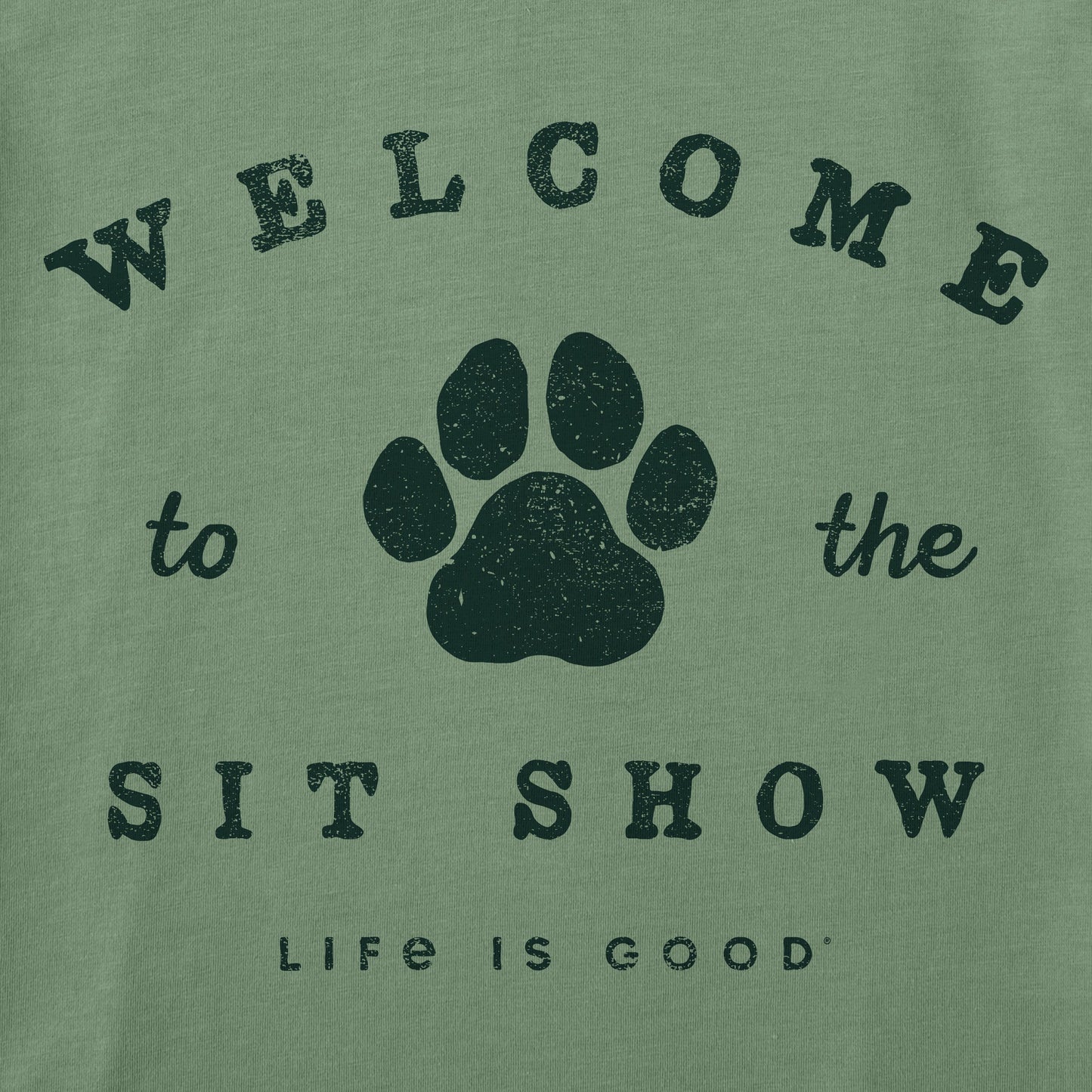 Women's Welcome to the Sit Show Short Sleeve Crusher Vee