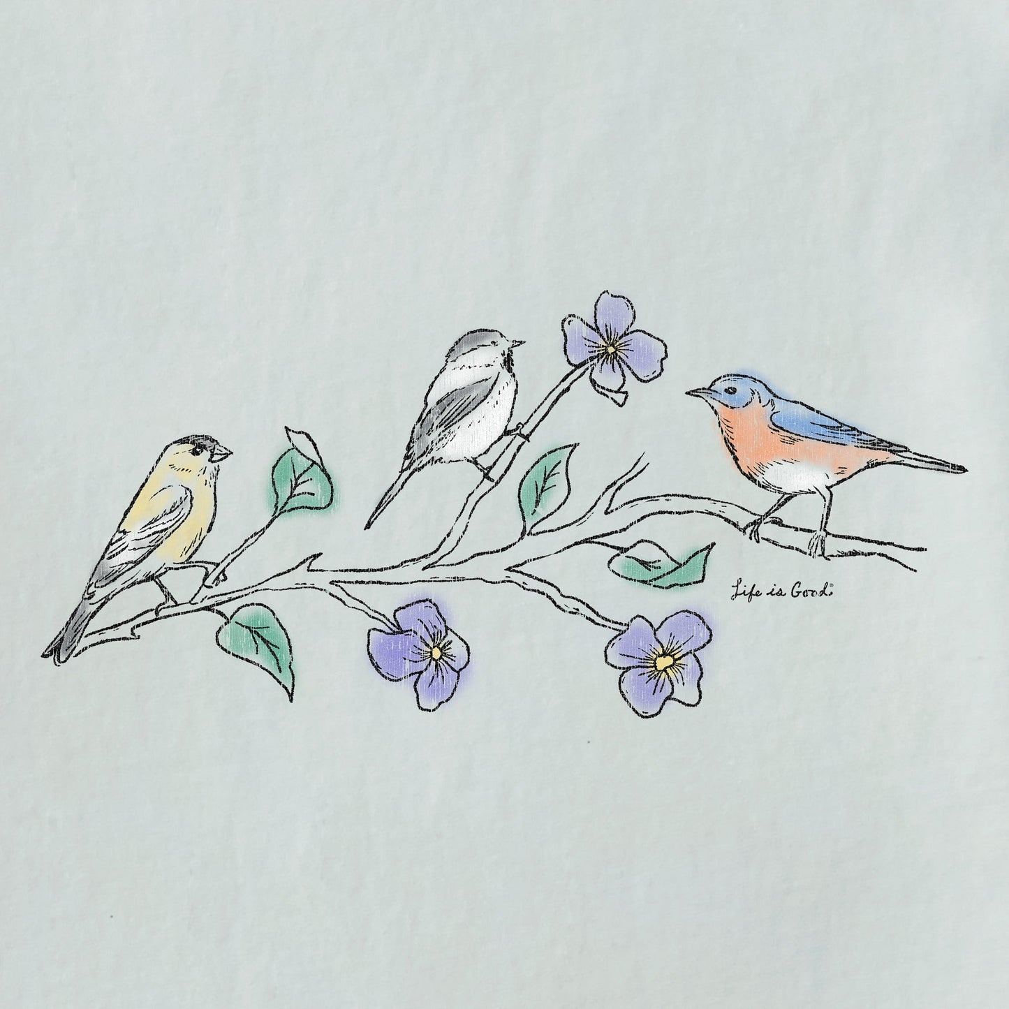 Women's Three Birds Short Sleeve Vee