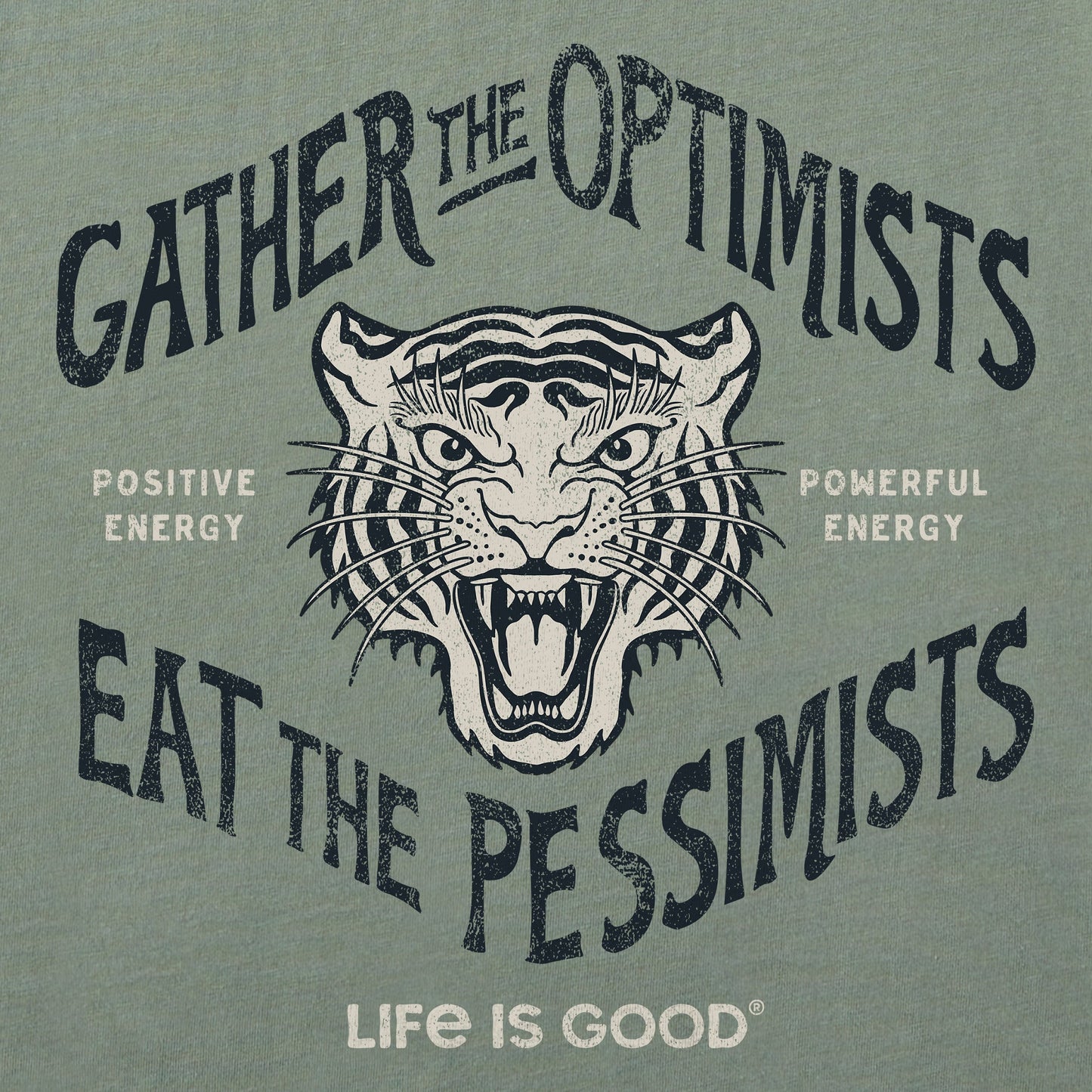 Women's Gather Tiger Short Sleeve Crusher Boxy Tee