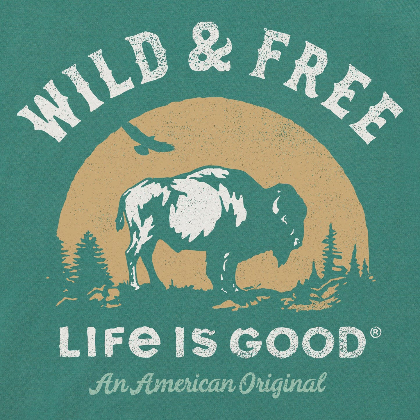 Women's Wild & Free Buffalo Short Sleeve Crusher Tee