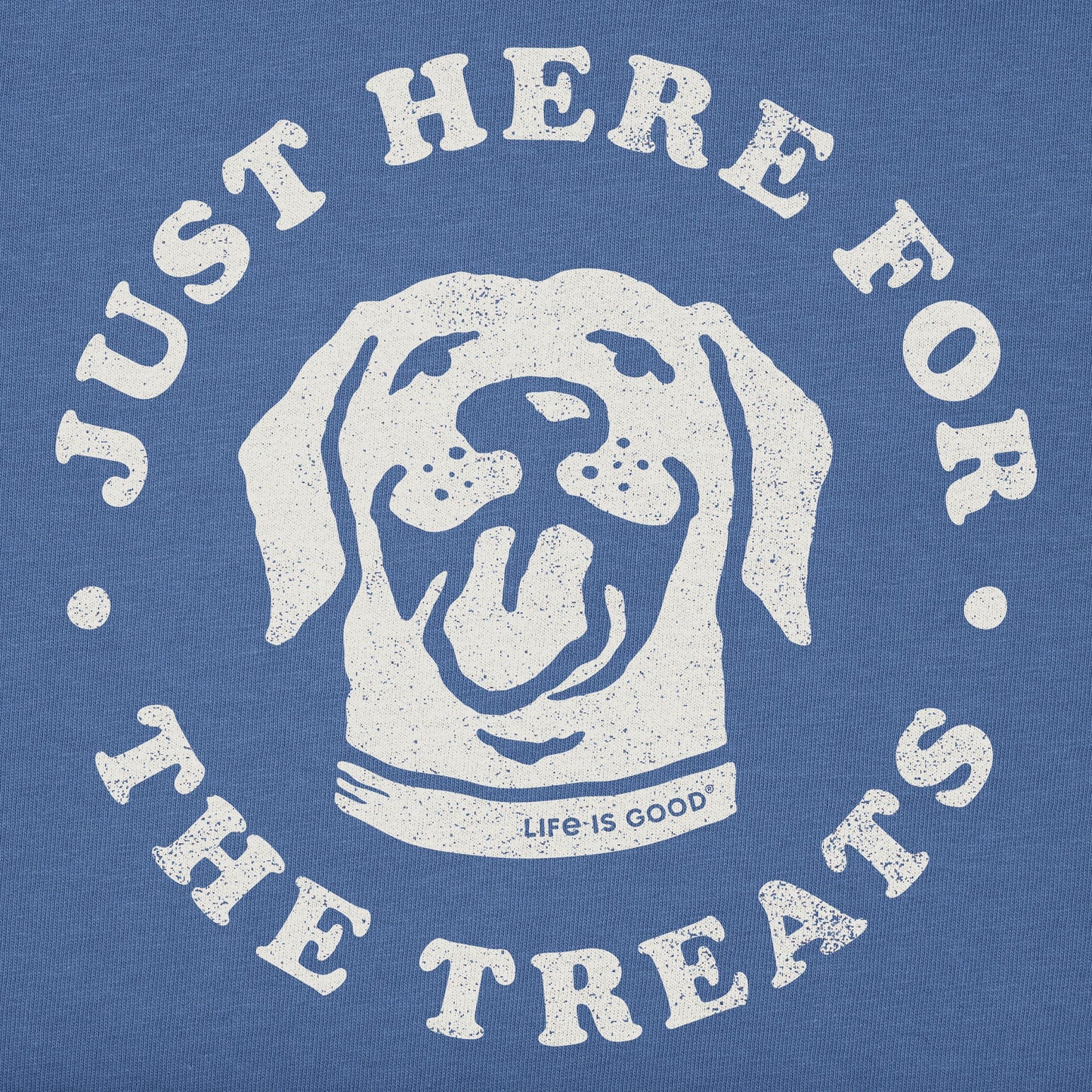 Kids Here for the Treats Short Sleeve Crusher Tee