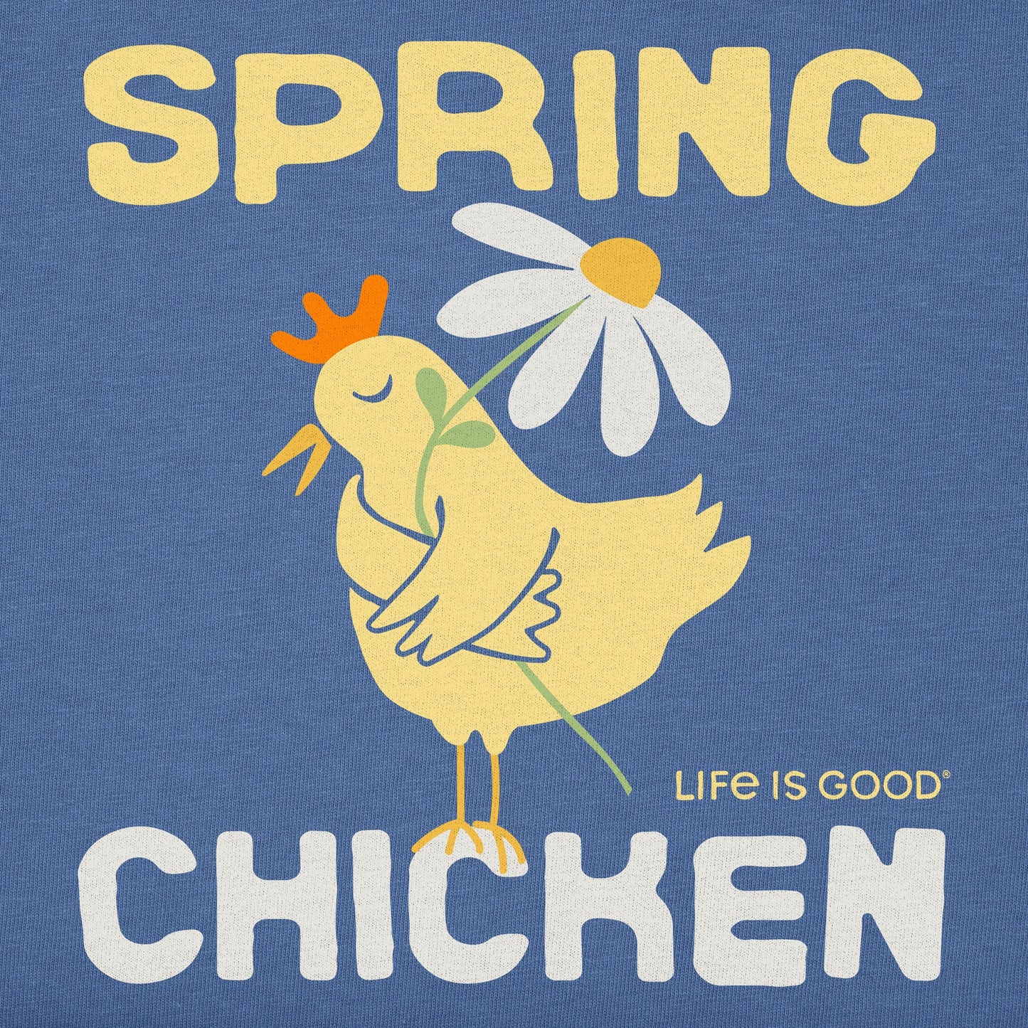 Kids Spring Chicken Short Sleeve Crusher Tee
