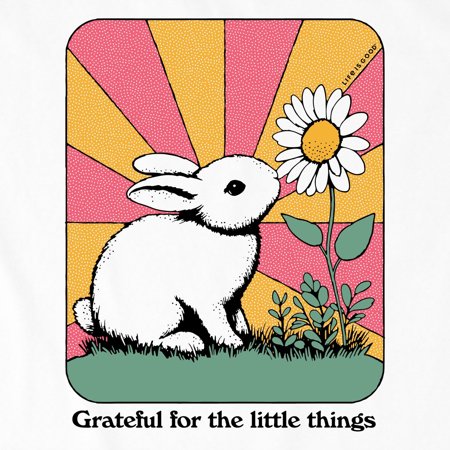Kids Grateful for the Little Things Bunny Short Sleeve Crusher Tee