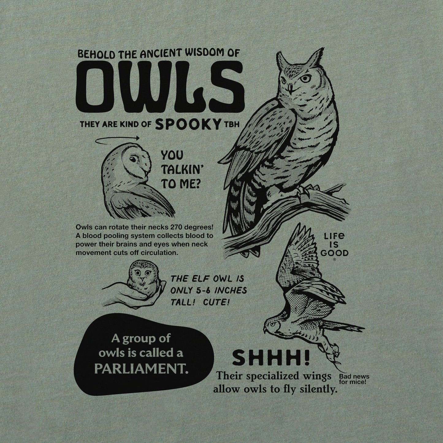 Women's The Wisdom of Owls Short Sleeve Crusher Boxy Tee