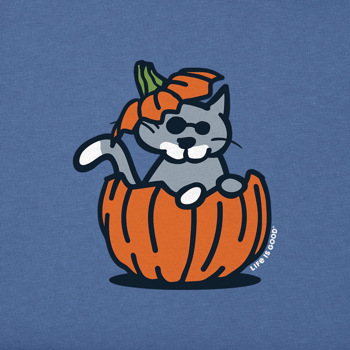 Kids Pumpkin House Cat Short Sleeve Crusher Tee