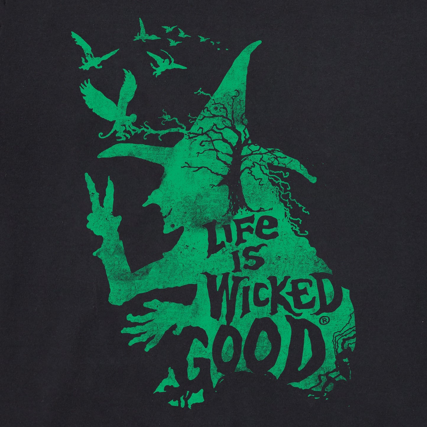 Women's Wizard of Oz Life is Wicked Good Witch Short Sleeve Crusher Boxy Tee