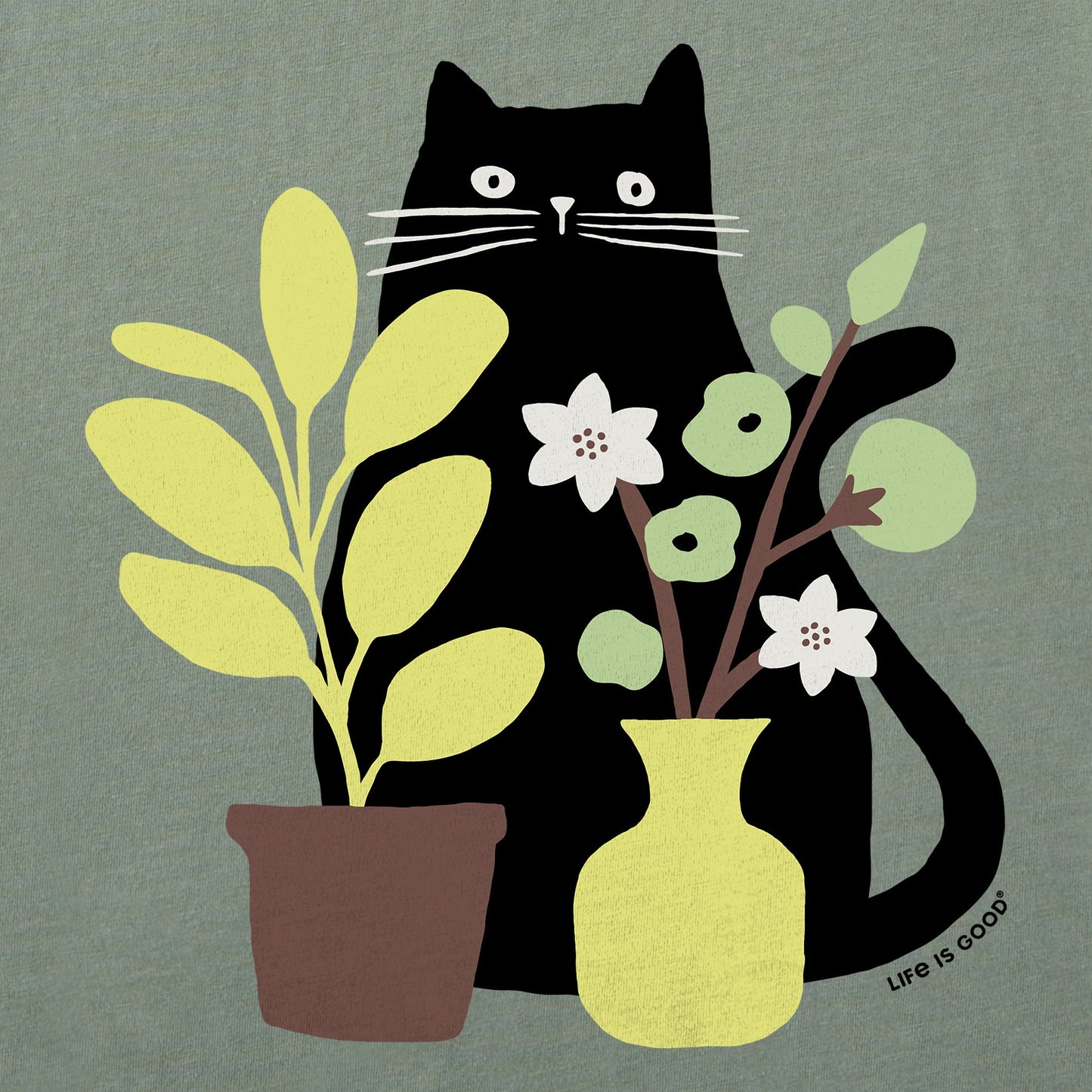 Women's Can you see the Cat? Short Sleeve Crusher Boxy Tee