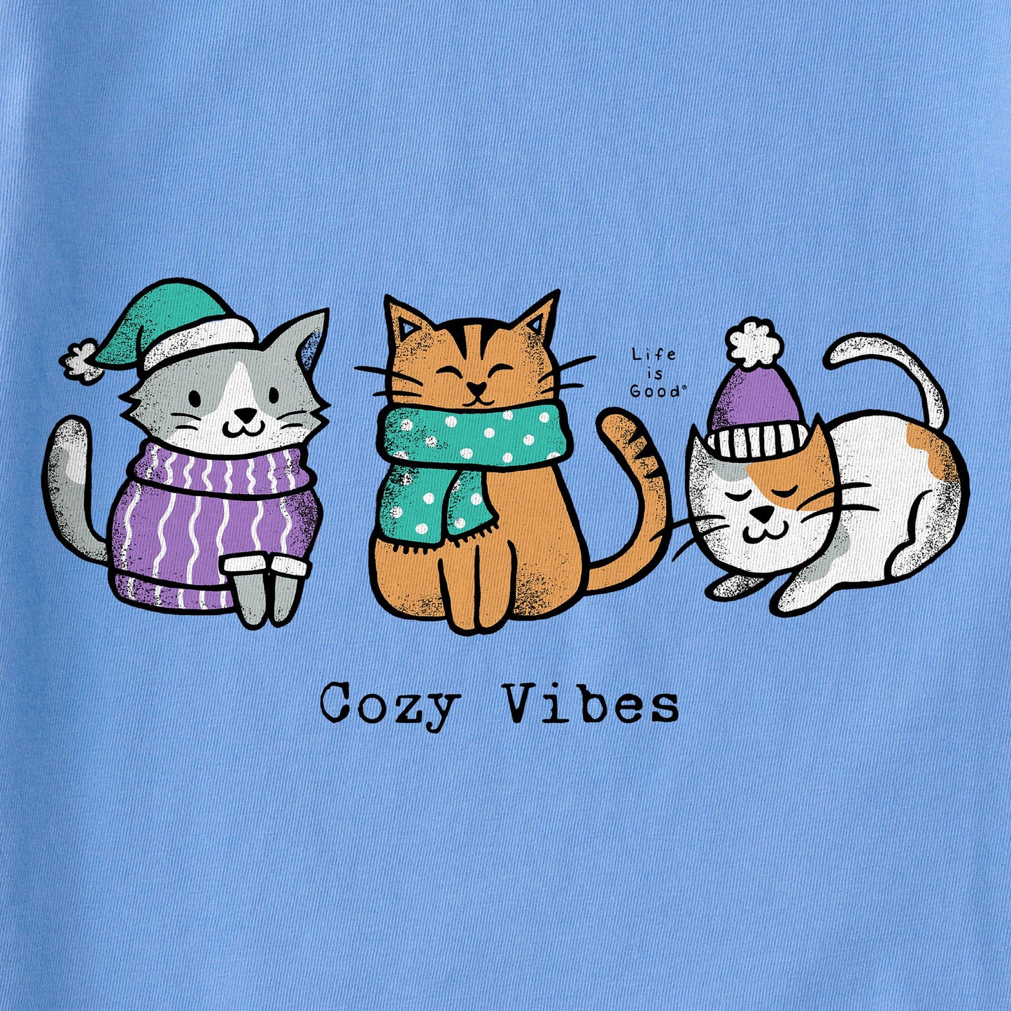 Women's Cozy Vibes Kittens Long Sleeve Crusher Tee