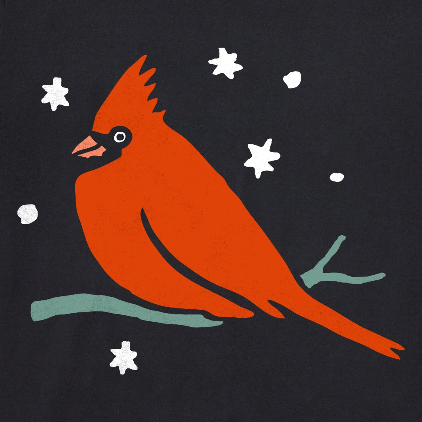 Women's Winter Cardinal Perch Long Sleeve Crusher Vee