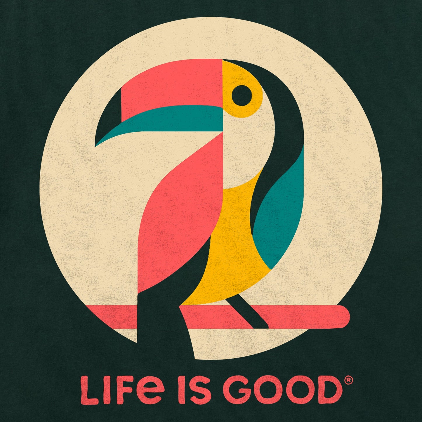 Women's Abstract Toucan Short Sleeve Crusher Boxy Tee