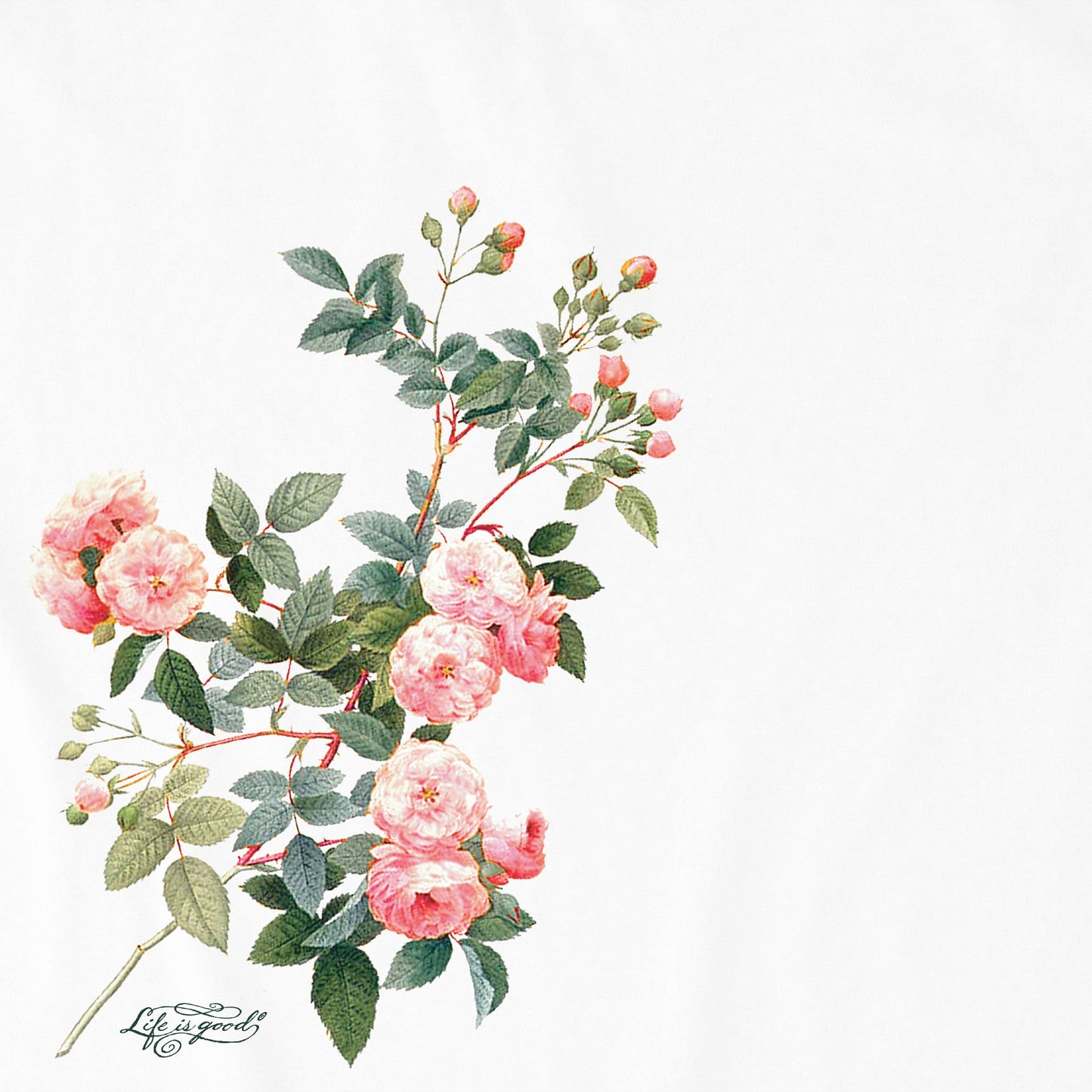 Women's Climbing Rose Garden Short Sleeve Crusher Tee