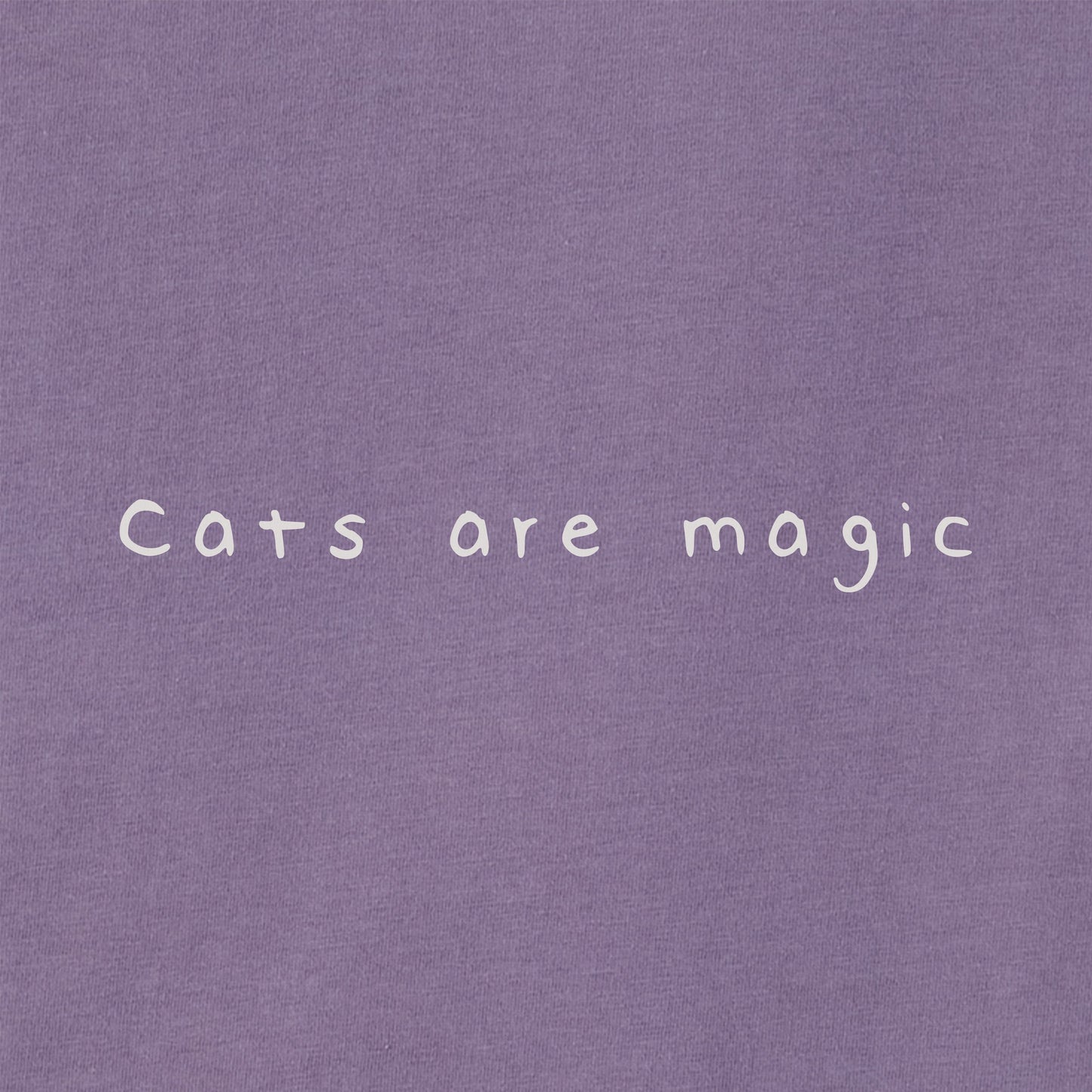 Women's Bert's Smile Cat Short Sleeve Crusher Boxy Tee