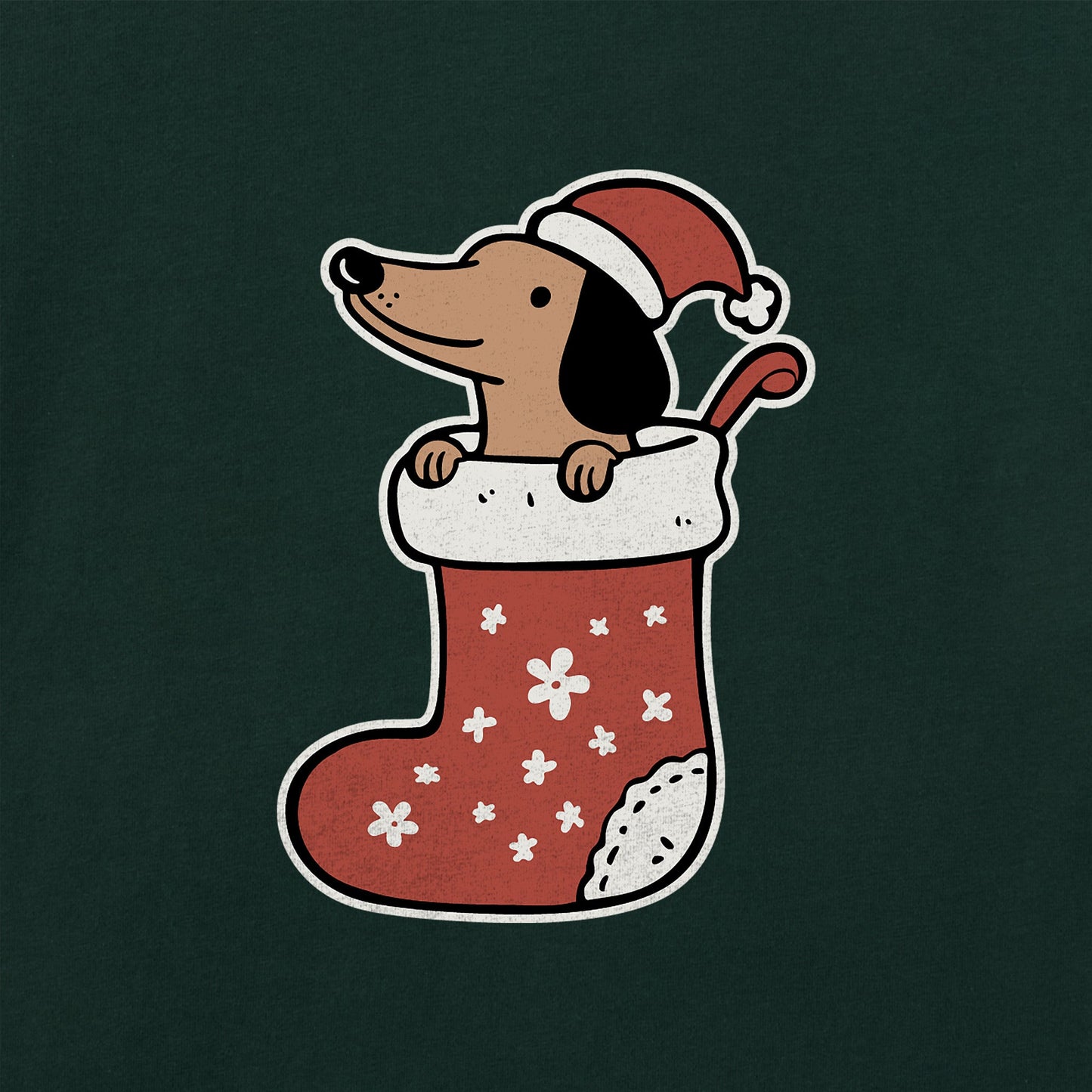 Women's Dachshund Stocking Long Sleeve Crusher Tee