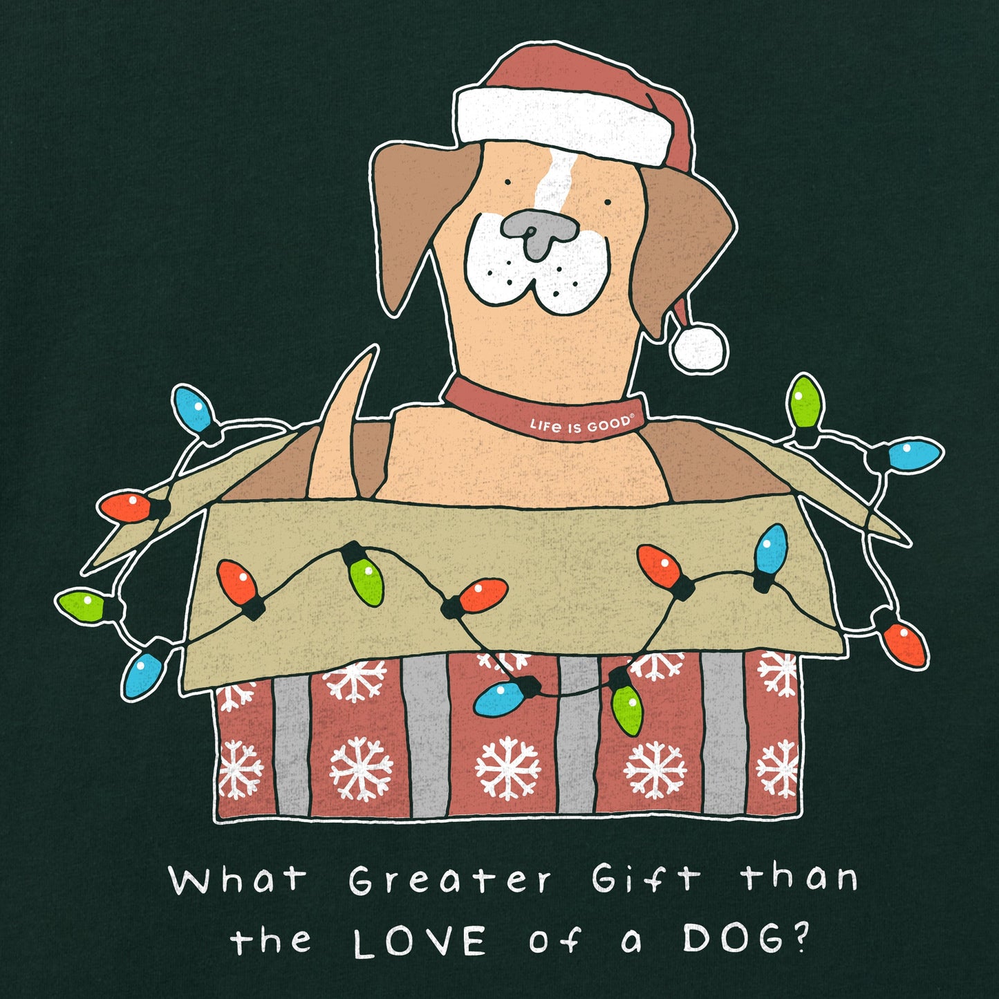 Women's Gift of a Dog Box Long Sleeve Crusher Tee