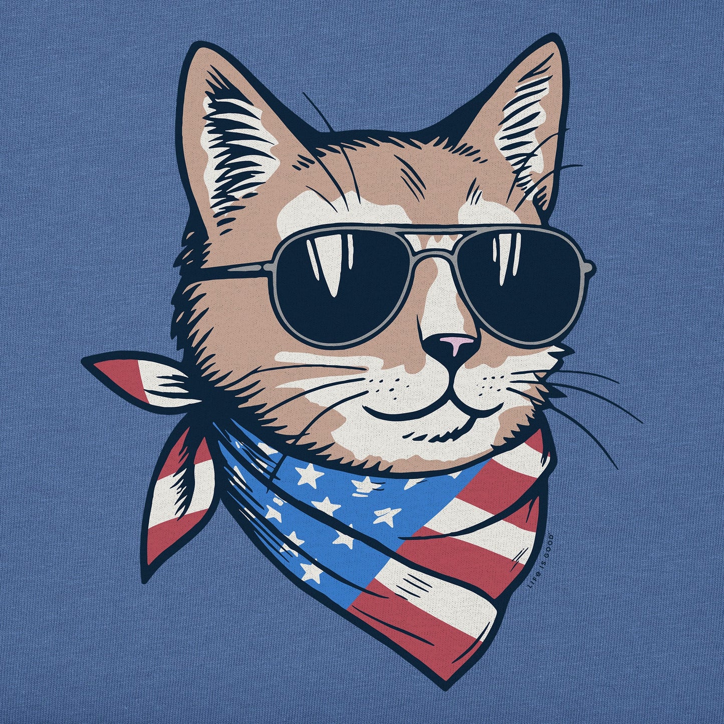 Women's USA Cat Short Sleeve Tee