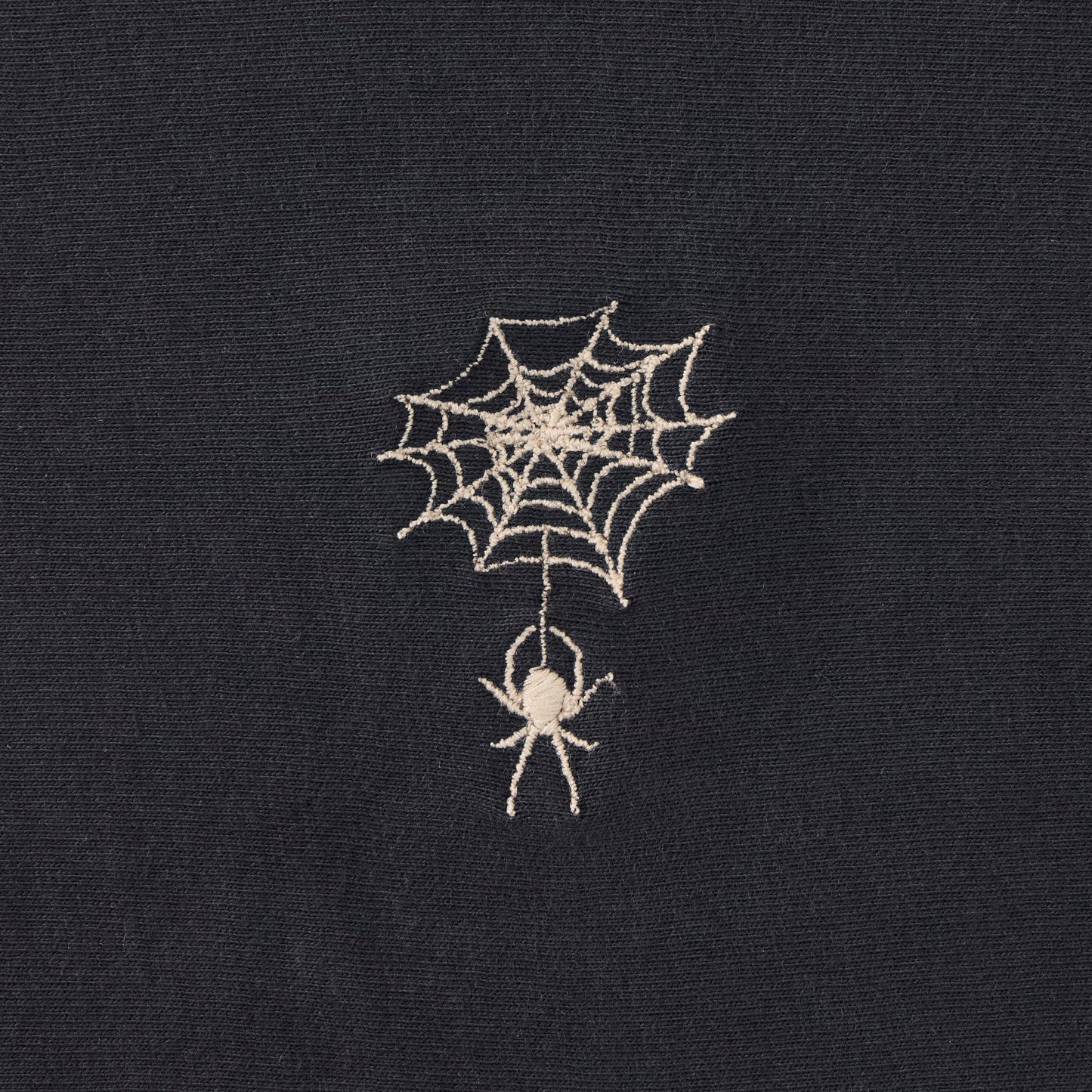 Women's Embroidered Spiderweb Short Sleeve Crusher Boxy Tee