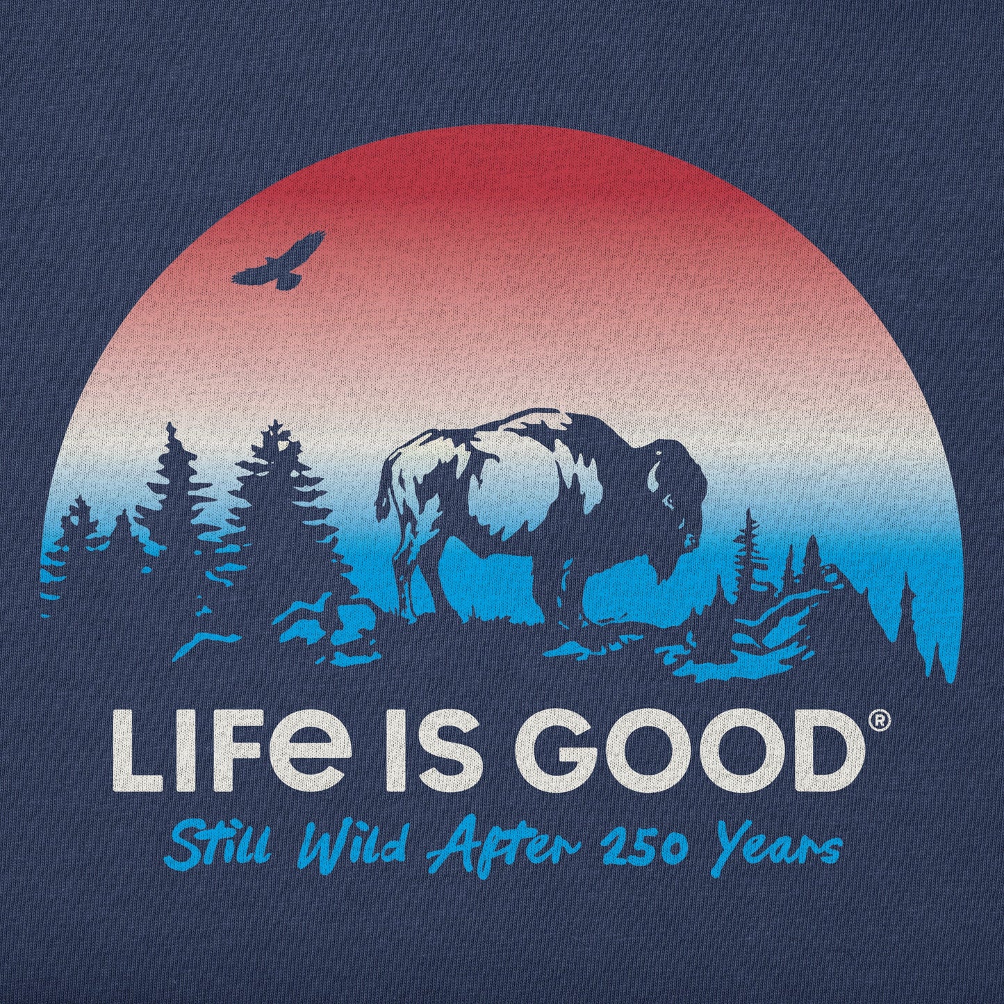 Women's Still Wild After 250 Years Short Sleeve Tee