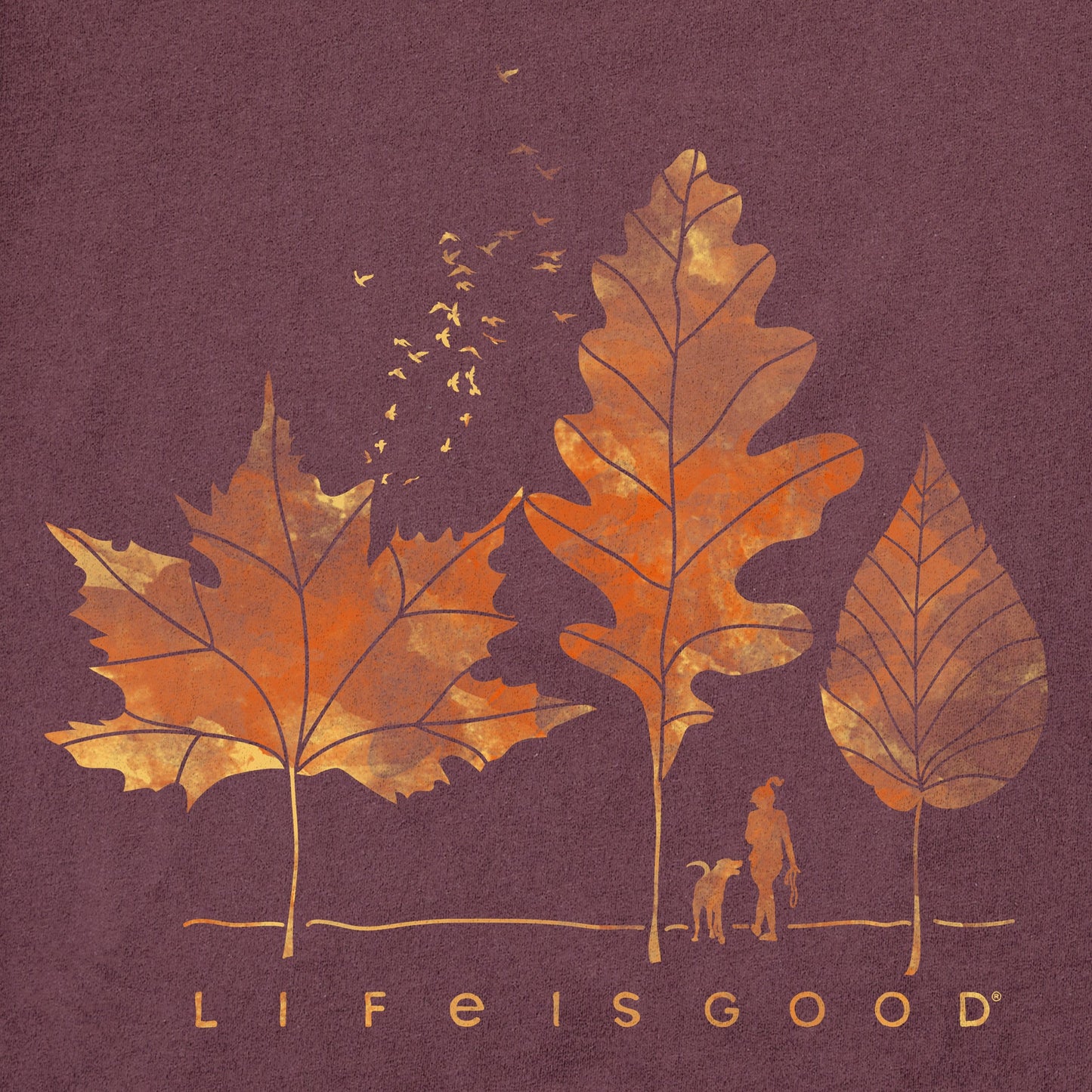 Women's Fall Walk Short Sleeve Crusher Tee