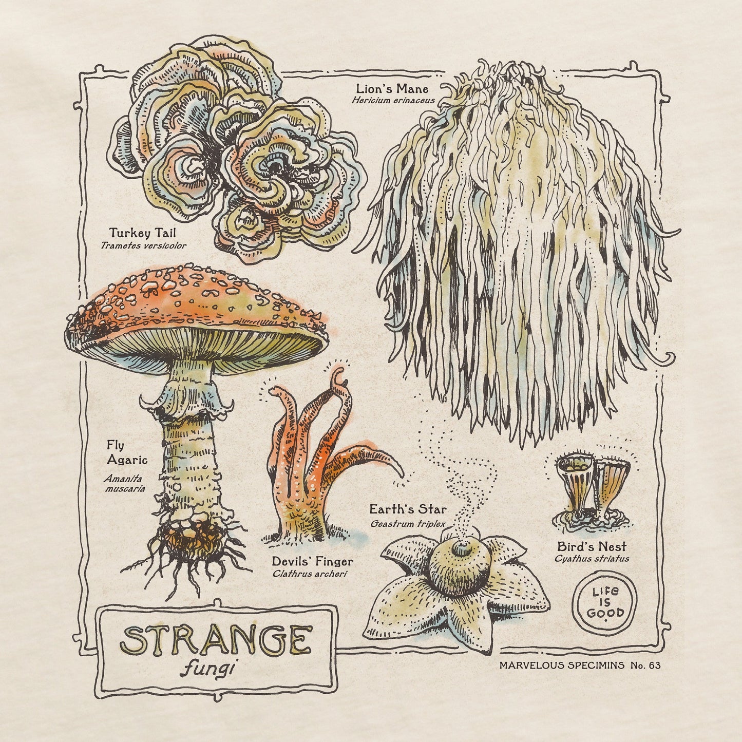 Women's Stange Fungi Short Sleeve Crusher Tee