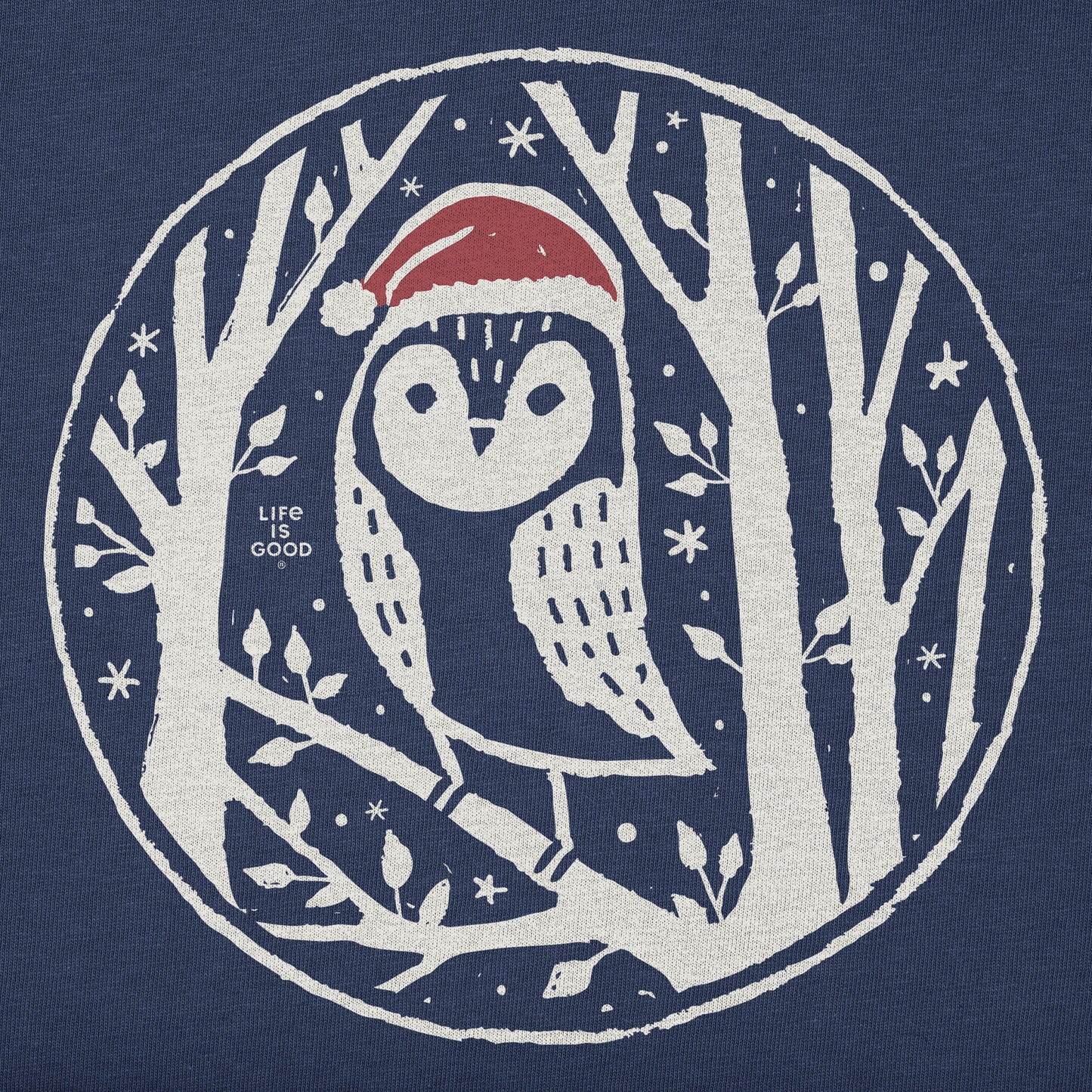 Kids Owl in Santa Hat Short Sleeve Crusher Tee