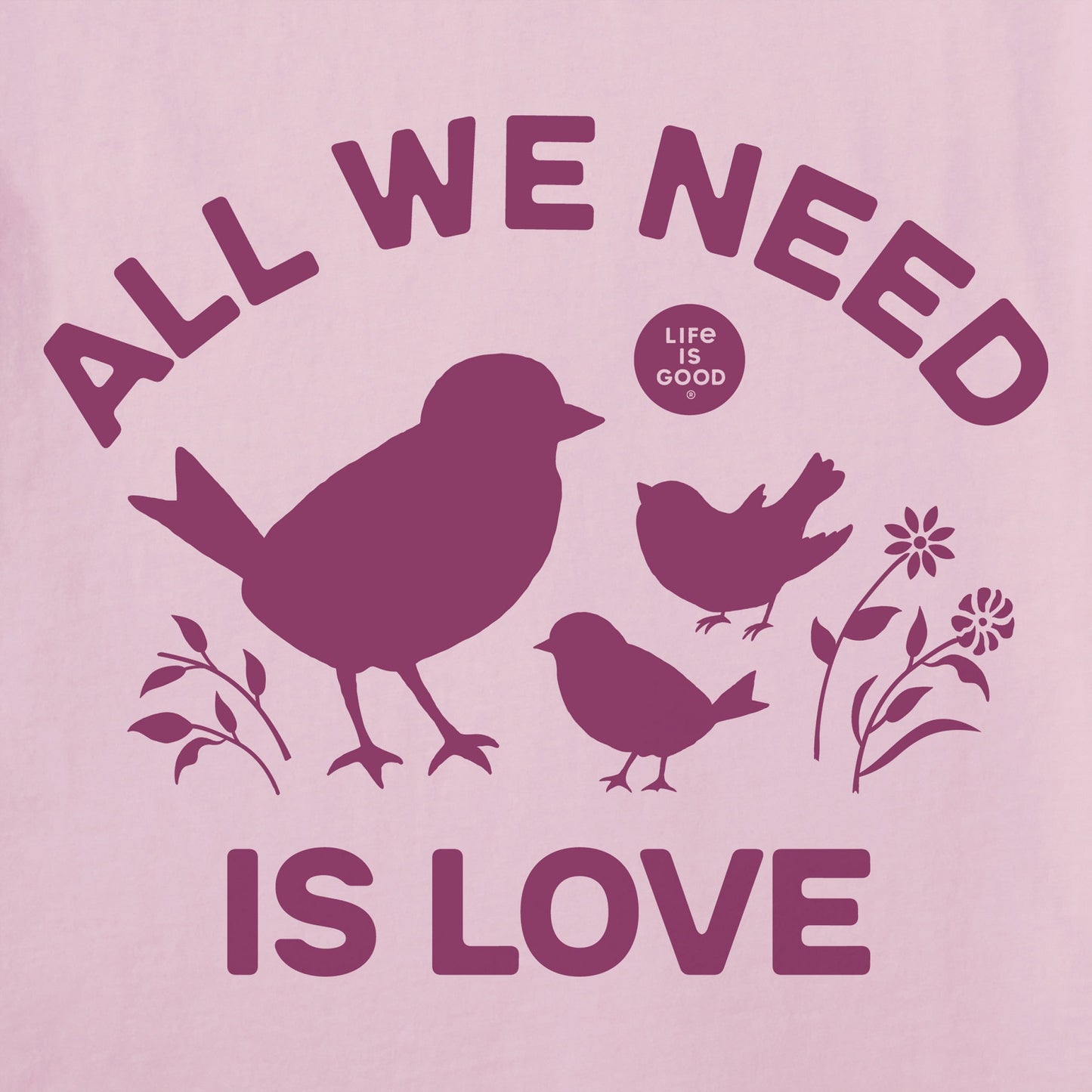 Women's All We Need is Love Birds Short Sleeve Vee