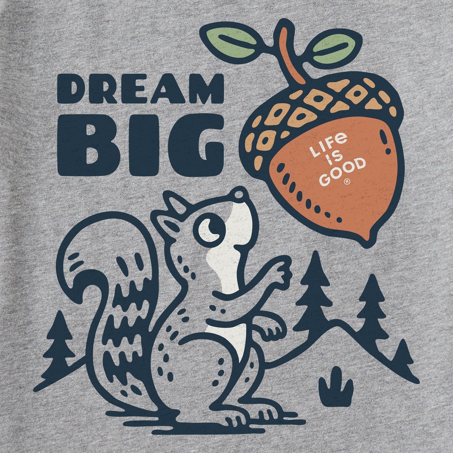 Kids Dream Big Squirrel Short Sleeve Crusher Tee