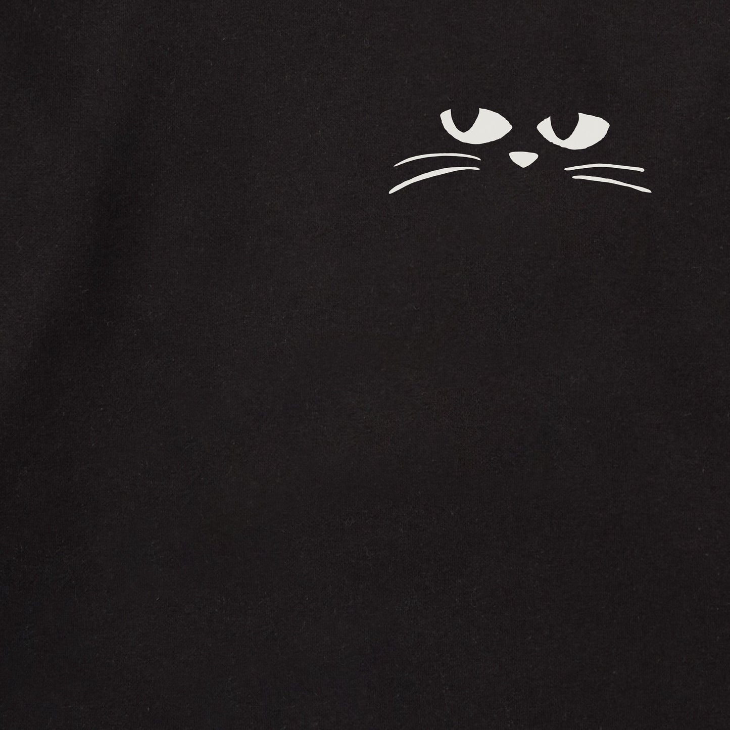 Adult Unisex Crazy Cat Lady Every Wear Hoodie Sweatshirt