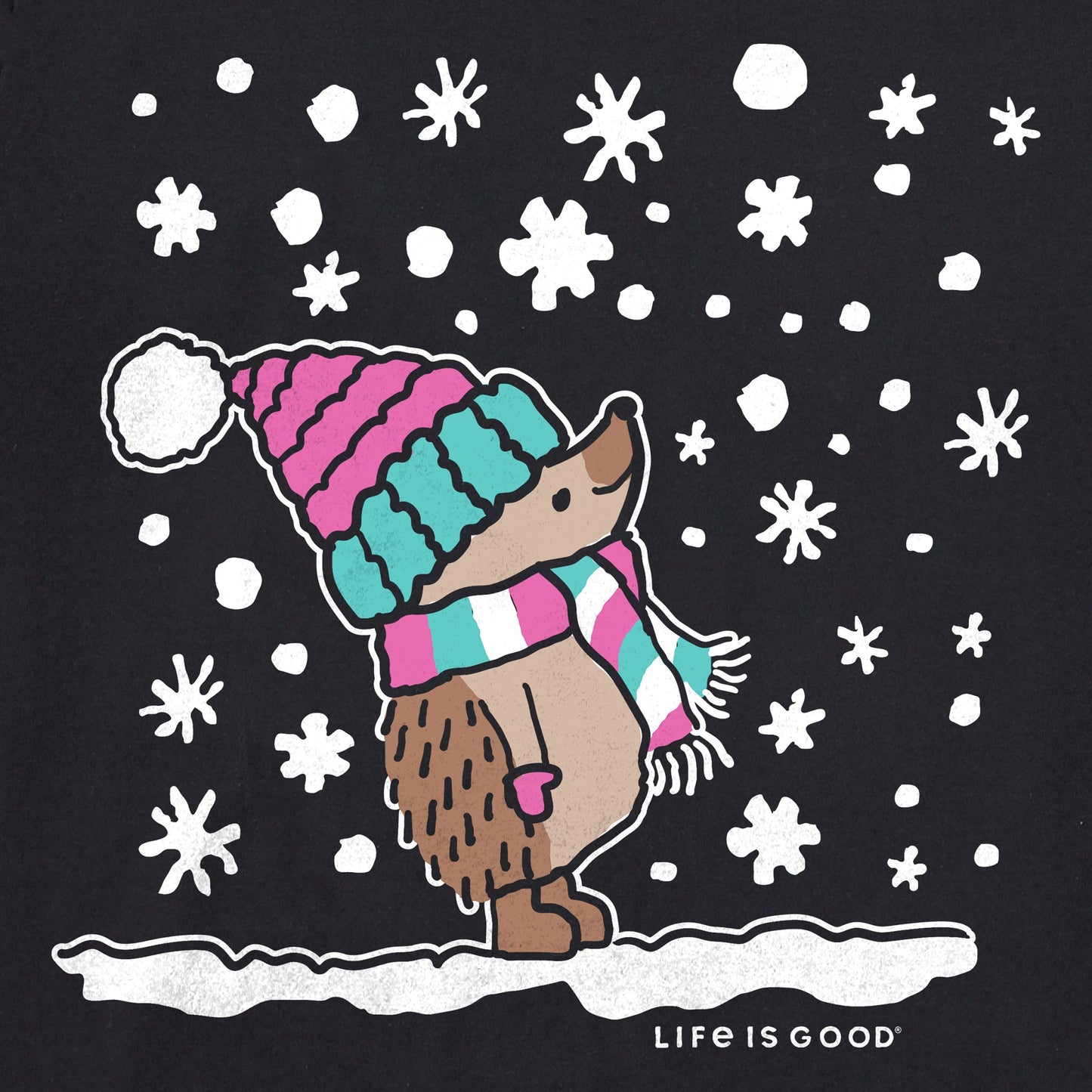 Women's Cozy Hedgehog Long Sleeve Crusher Vee