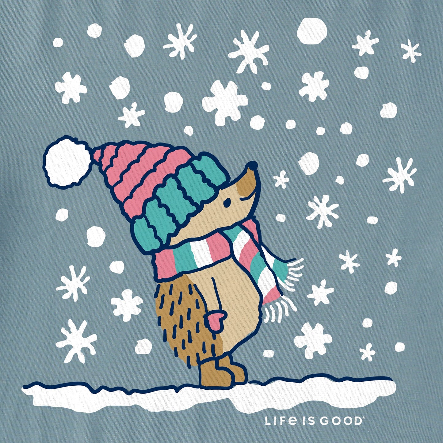 Women's Cozy Hedgehog Long Sleeve Crusher Tee