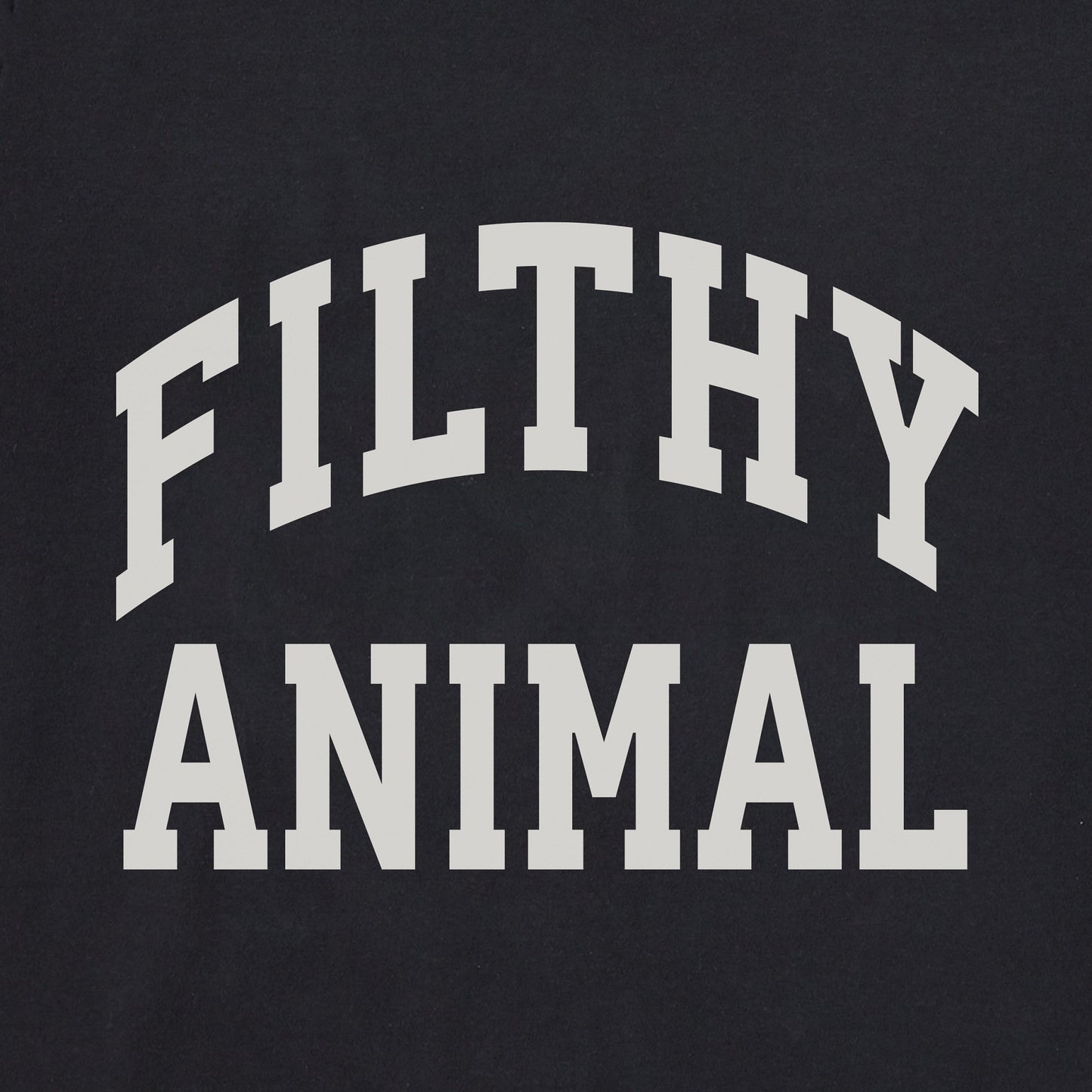 Men's Filthy Animal Arch Long Sleeve Crusher Tee
