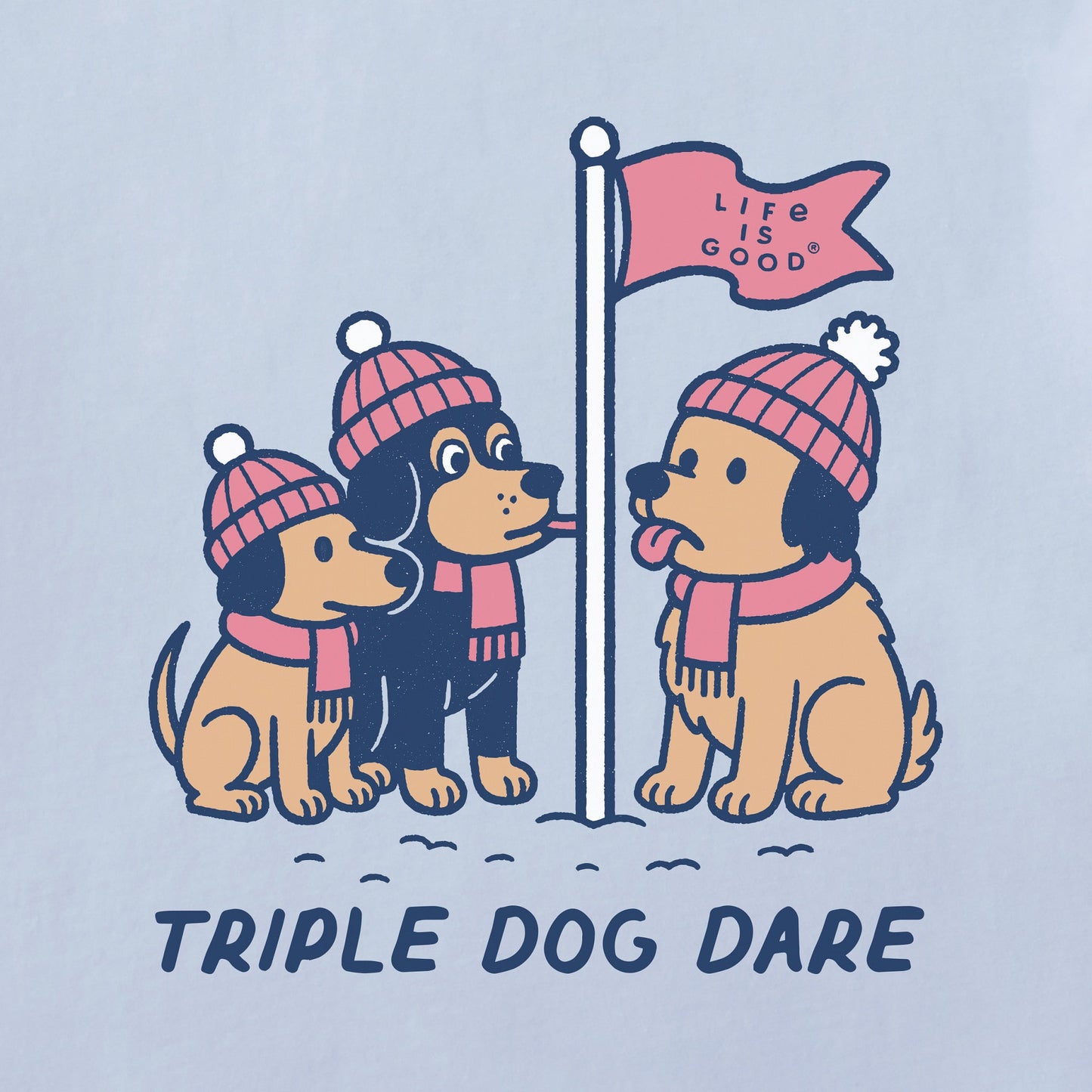 Women's Triple Dog Dare Short Sleeve Crusher Boxy Tee