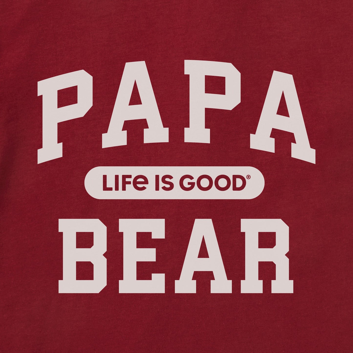 Men's Papa Bear Arch Short Sleeve Crusher Tee