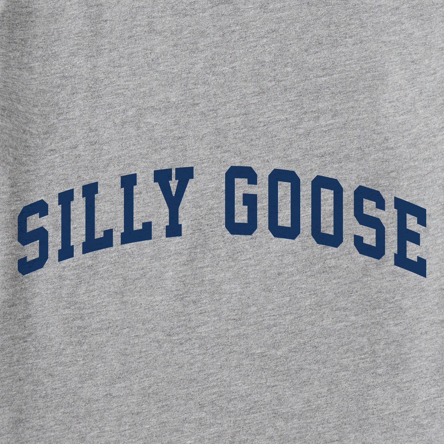 Women's Silly Goose Arch Short Sleeve Crusher Tee