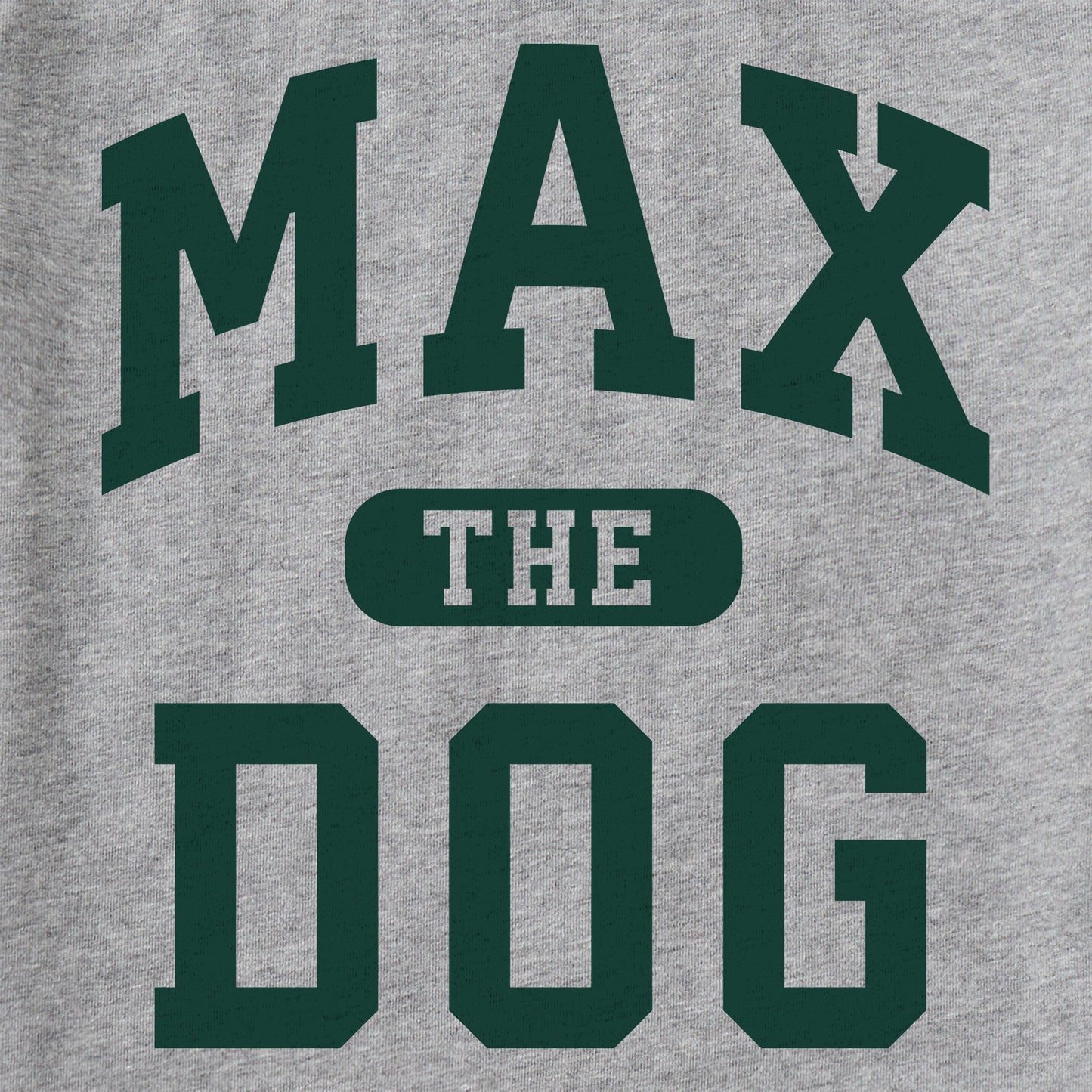 Kids Max the Dog Arch Long Sleeve Crusher Tee