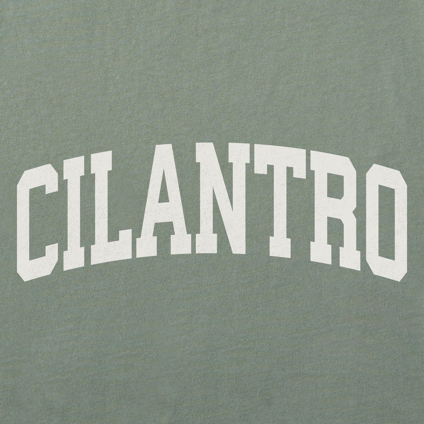 Men's Cilantro Arch Long Sleeve Crusher Tee